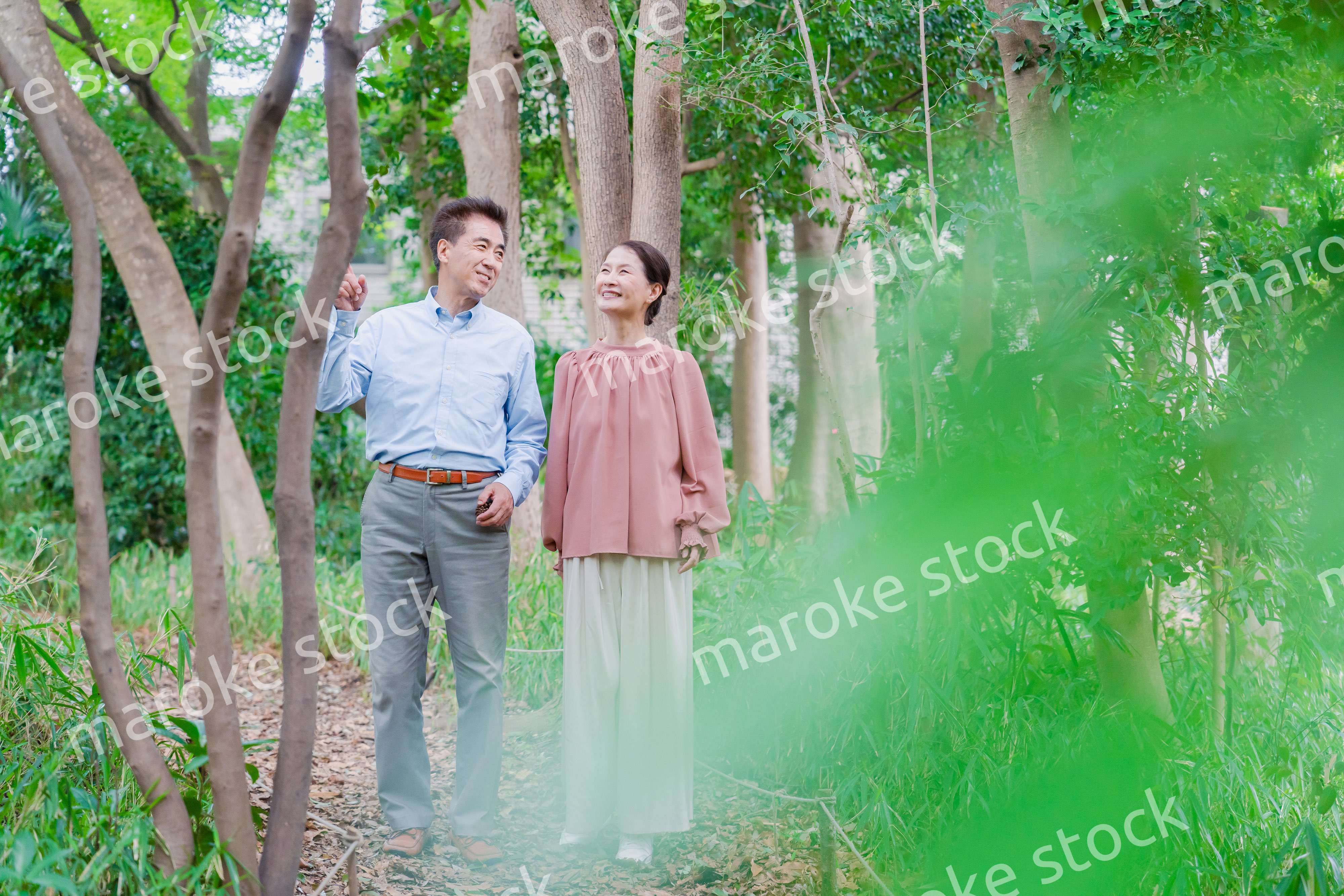 自然の中を散歩するシニアの夫婦