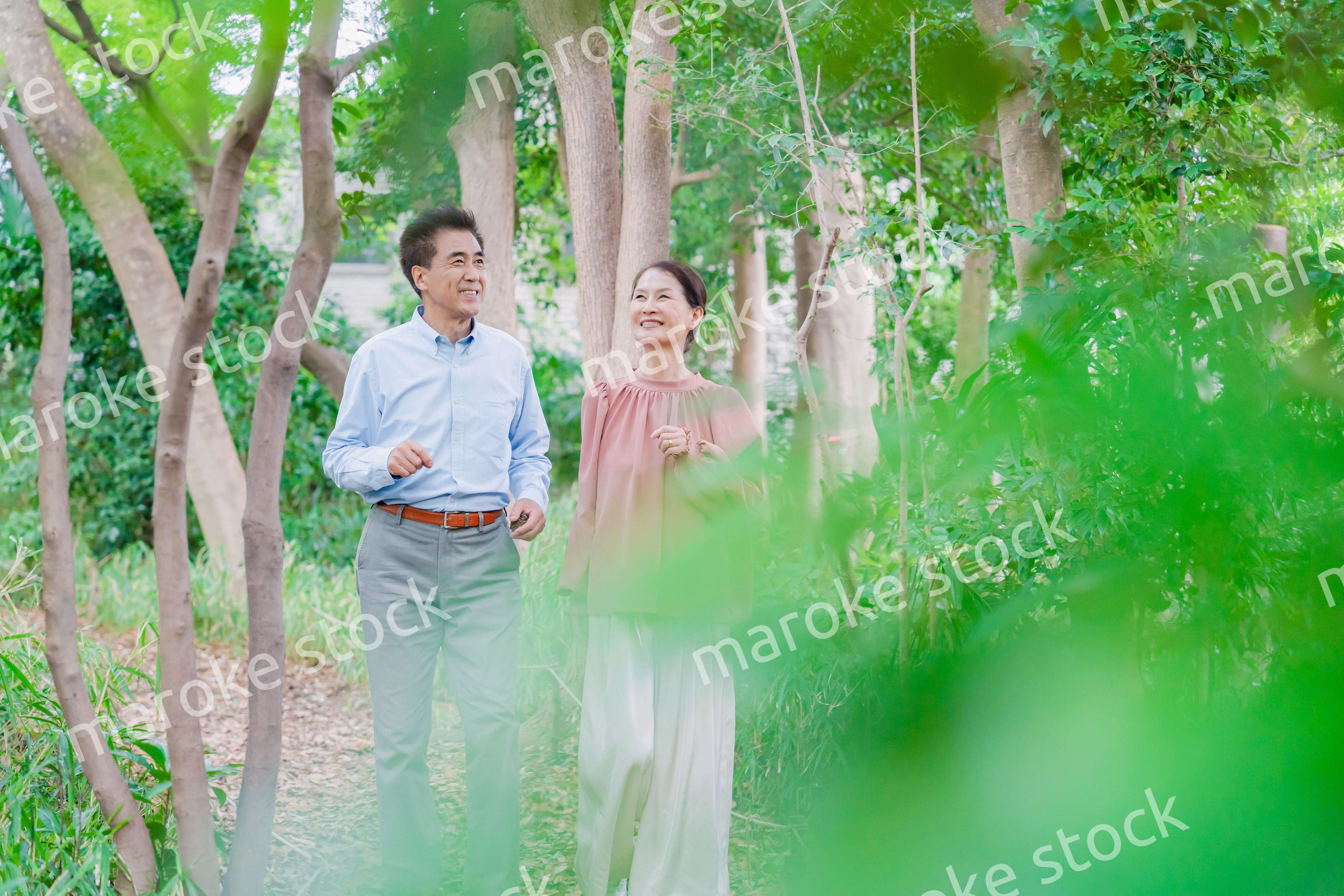 自然の中を散歩するシニアの夫婦