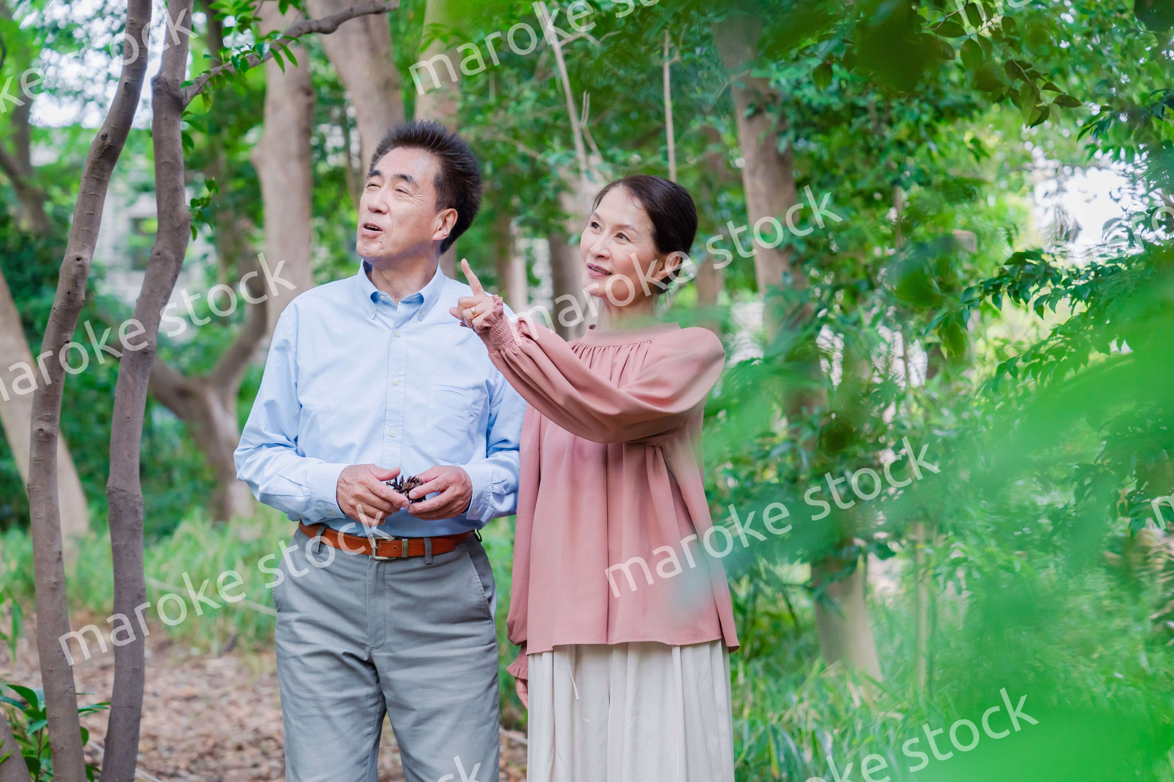 自然の中を散歩するシニアの夫婦