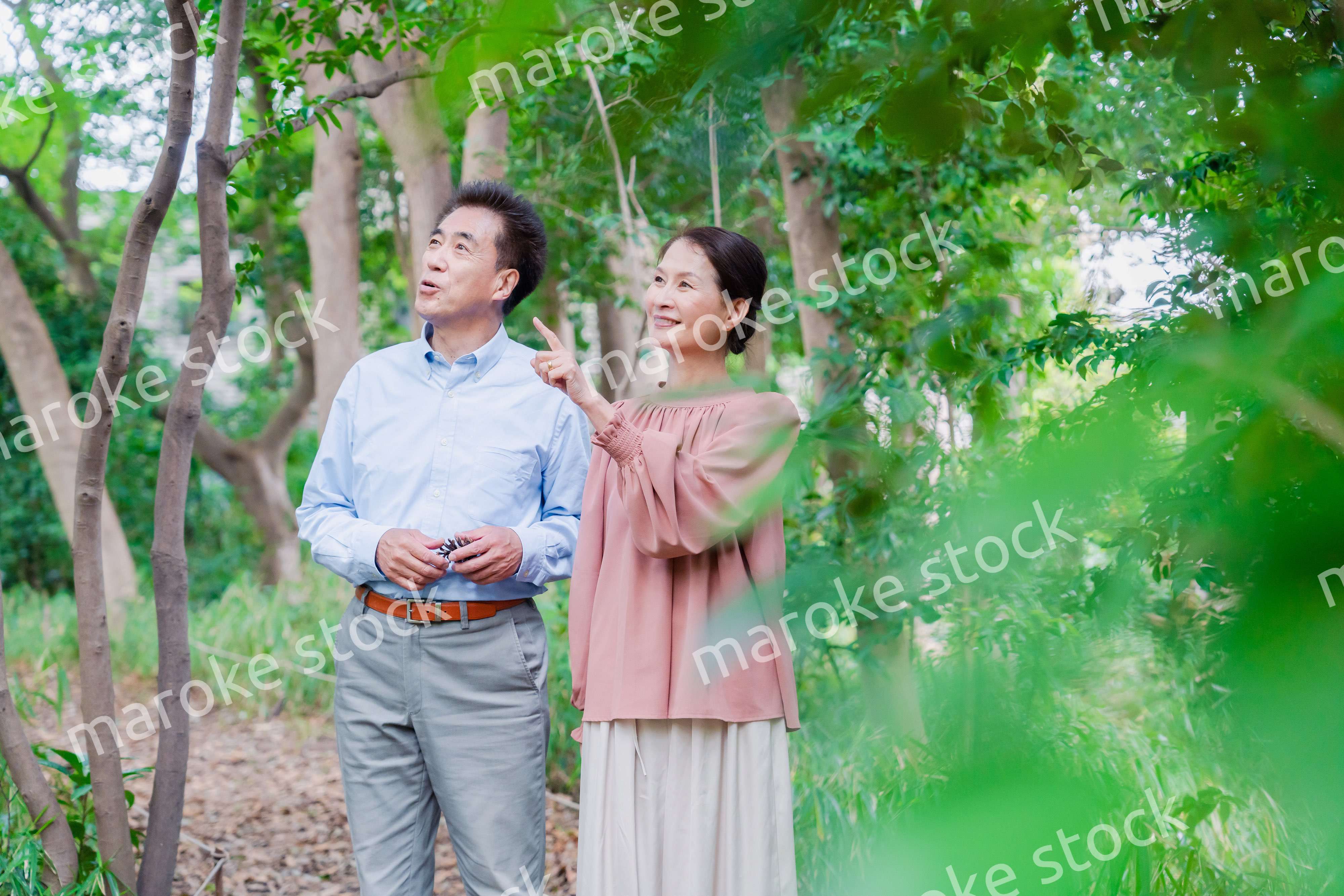 自然の中を散歩するシニアの夫婦