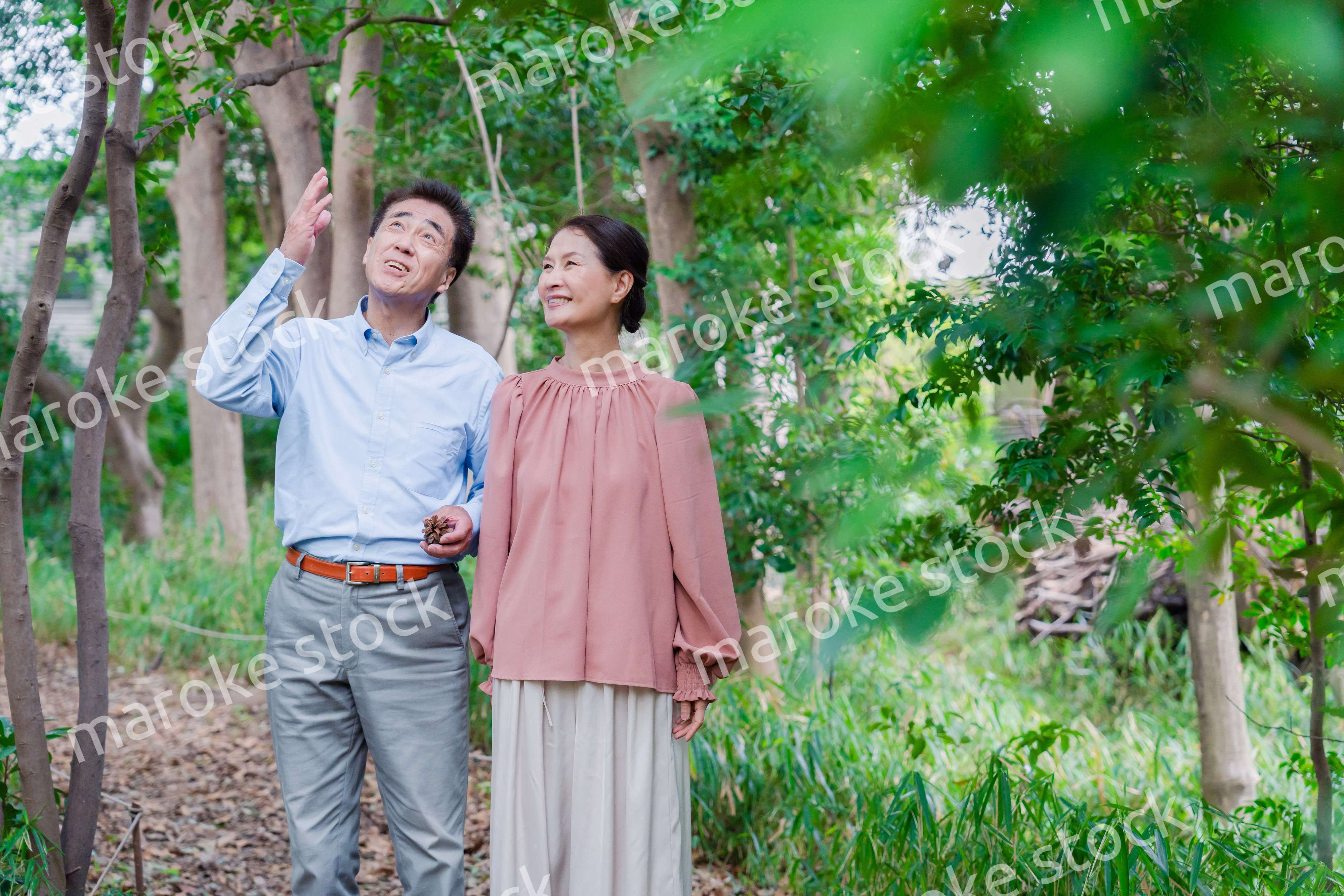 自然の中を散歩するシニアの夫婦