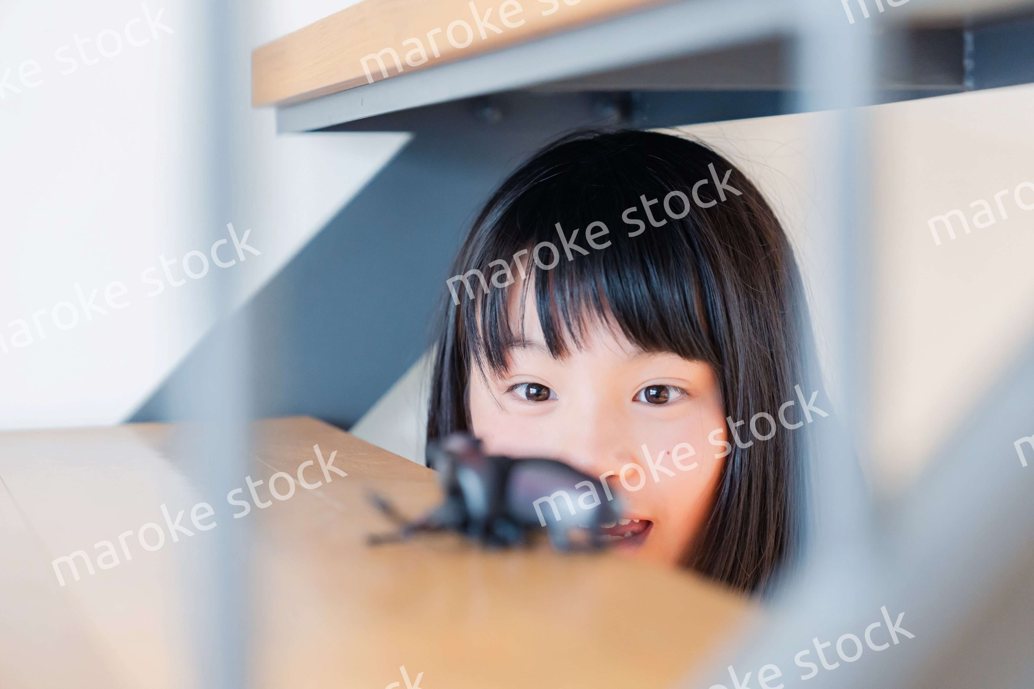 昆虫の観察をする小学生の女の子