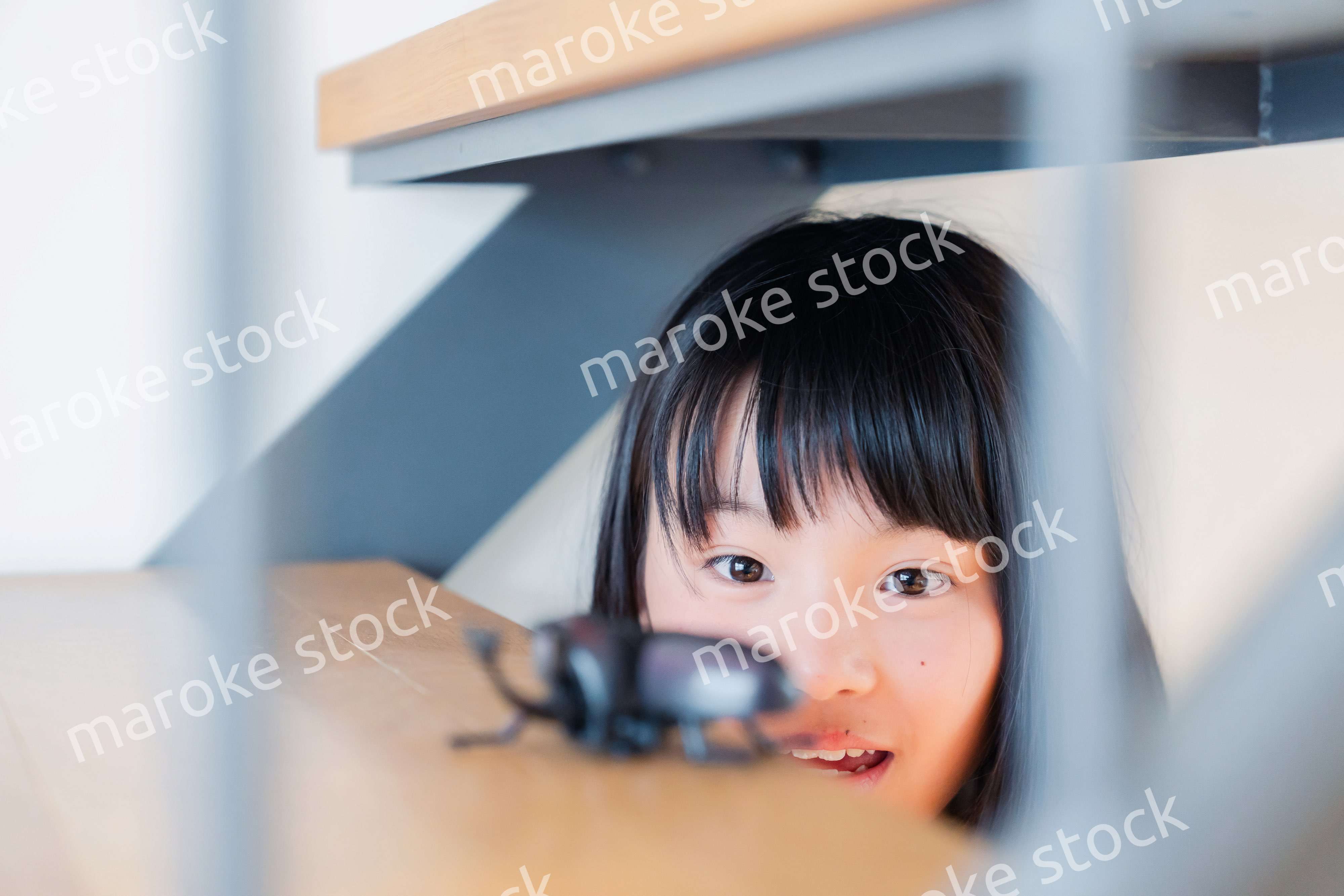 昆虫の観察をする小学生の女の子