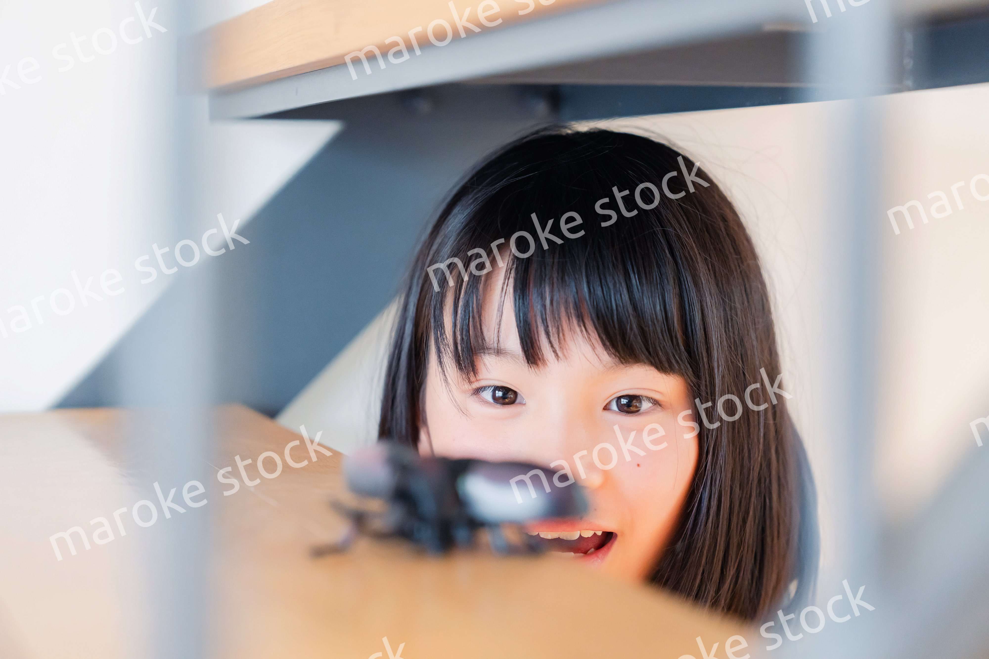 昆虫の観察をする小学生の女の子