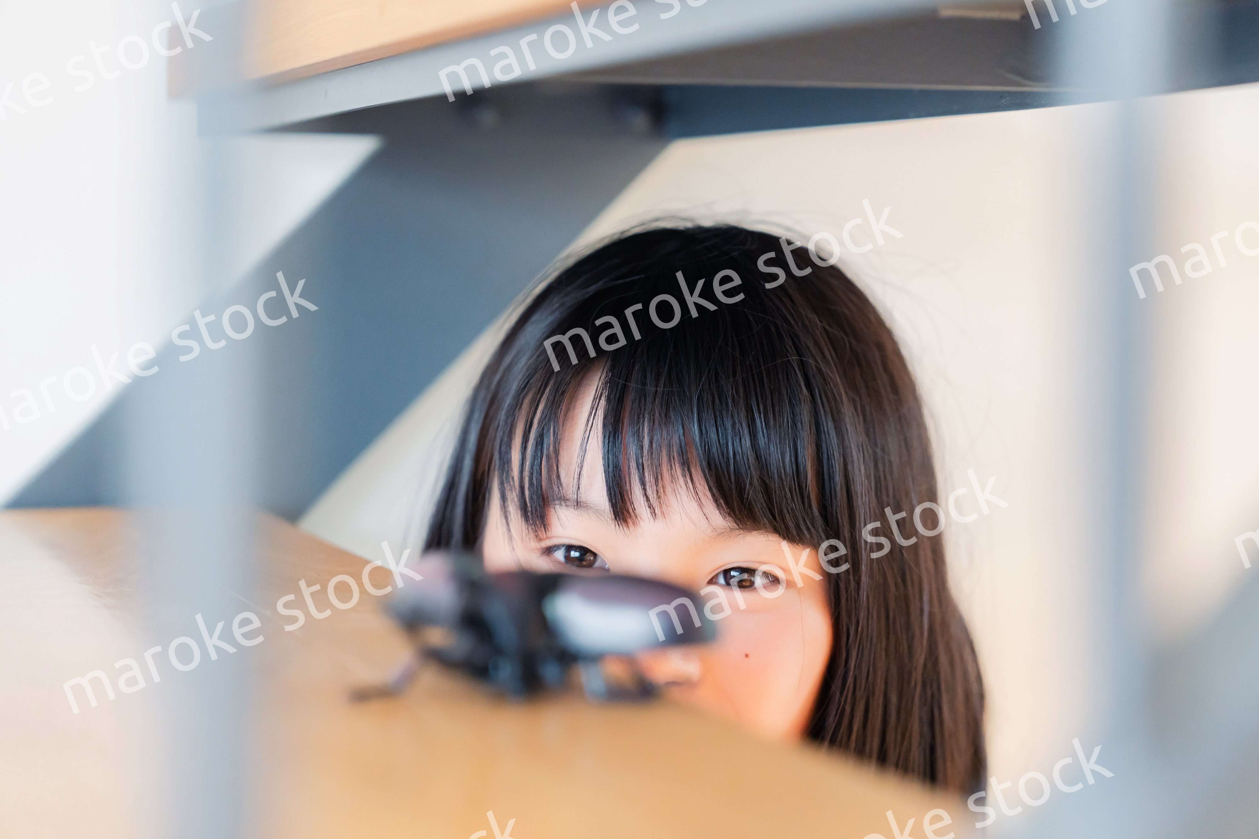 昆虫の観察をする小学生の女の子