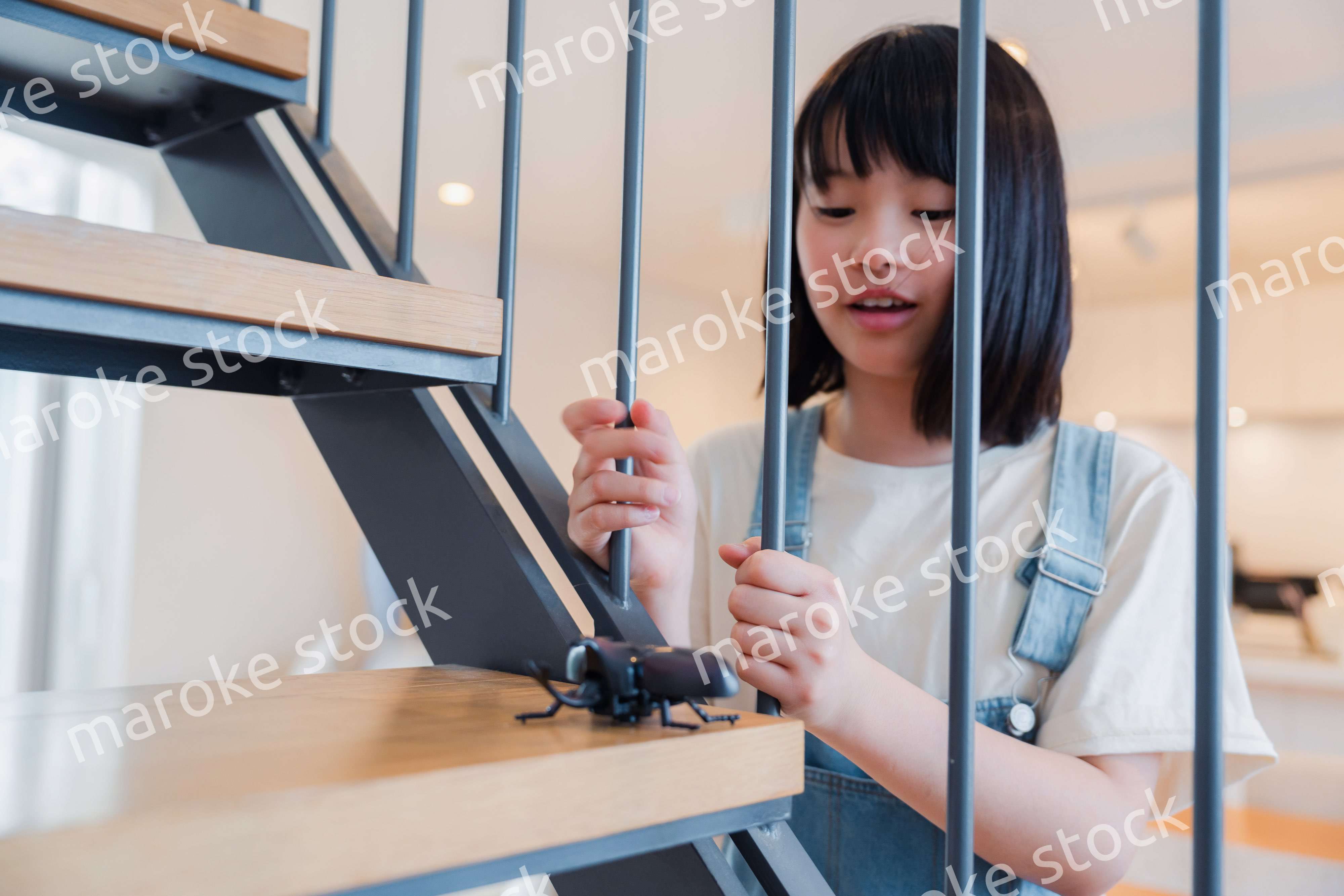 昆虫の観察をする小学生の女の子