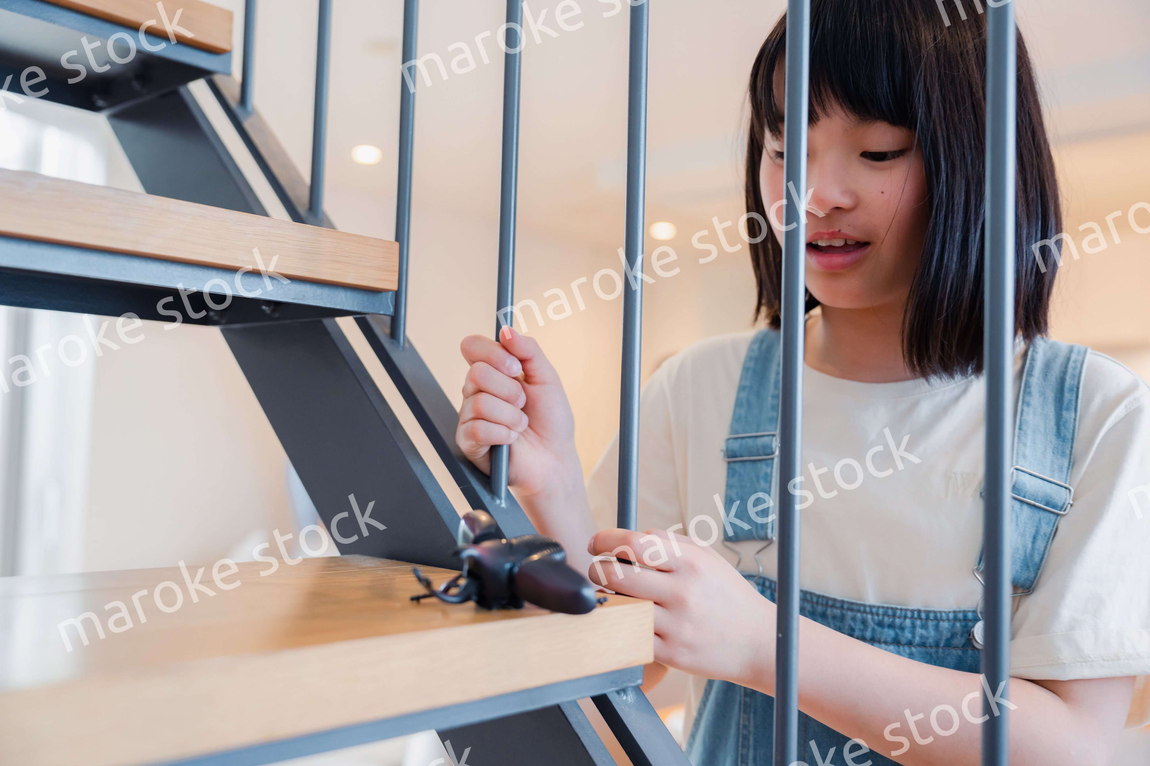 昆虫の観察をする小学生の女の子