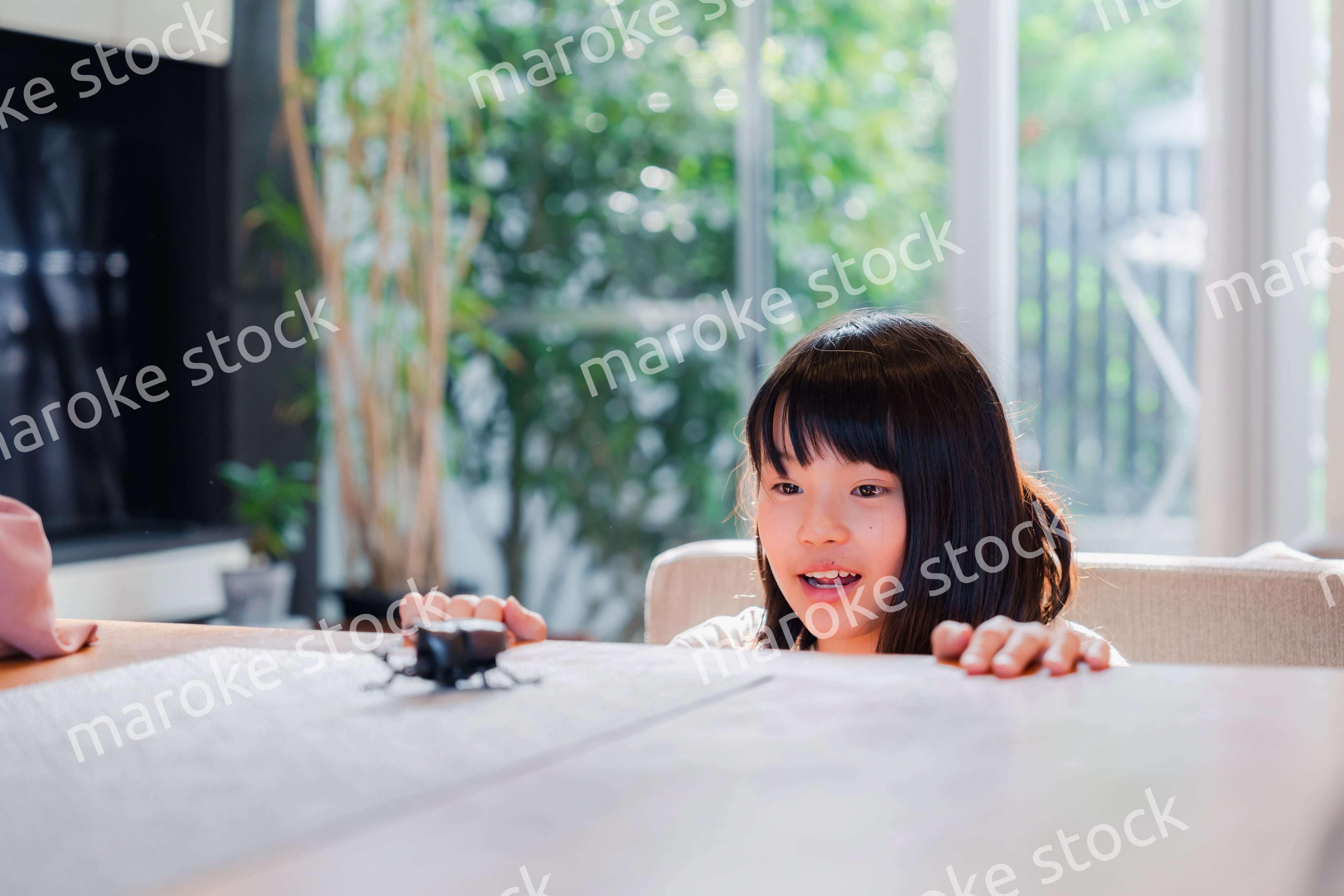 昆虫の観察をする小学生の女の子