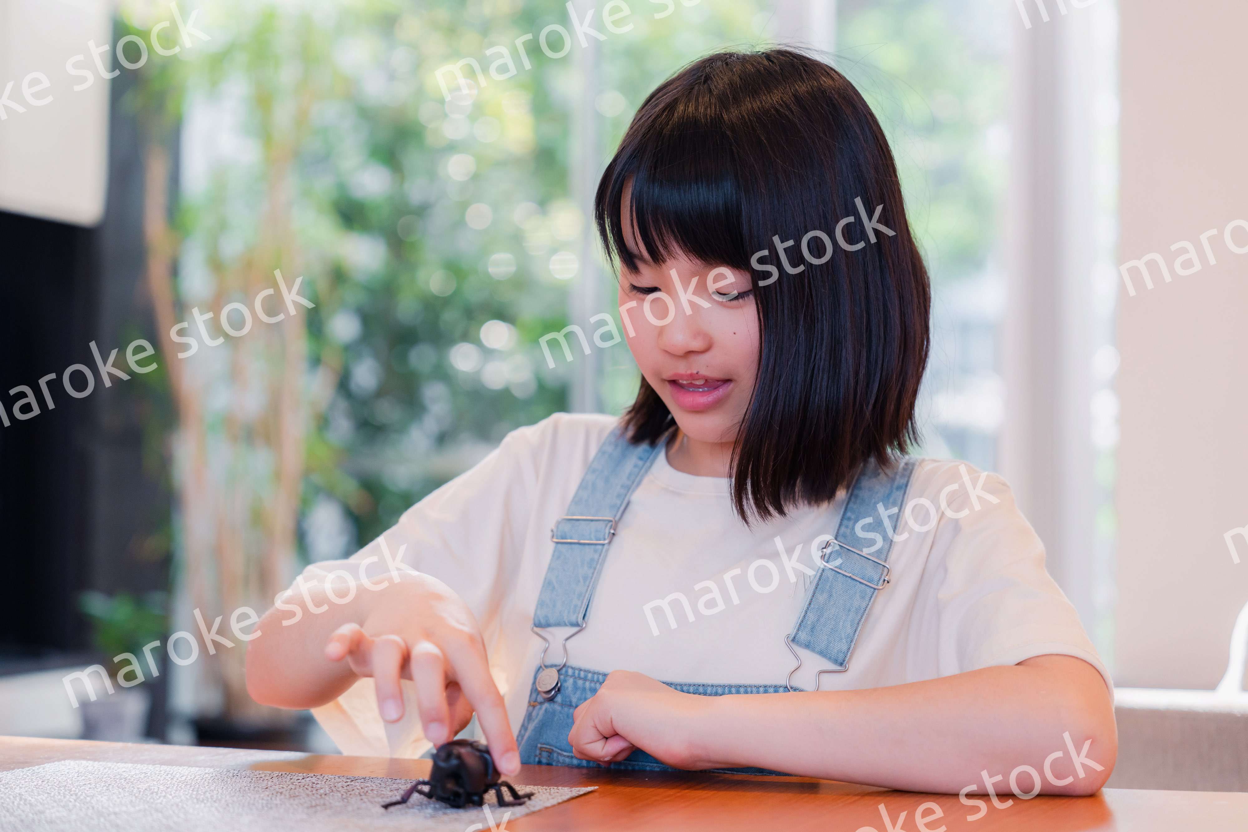 昆虫の観察をする小学生の女の子