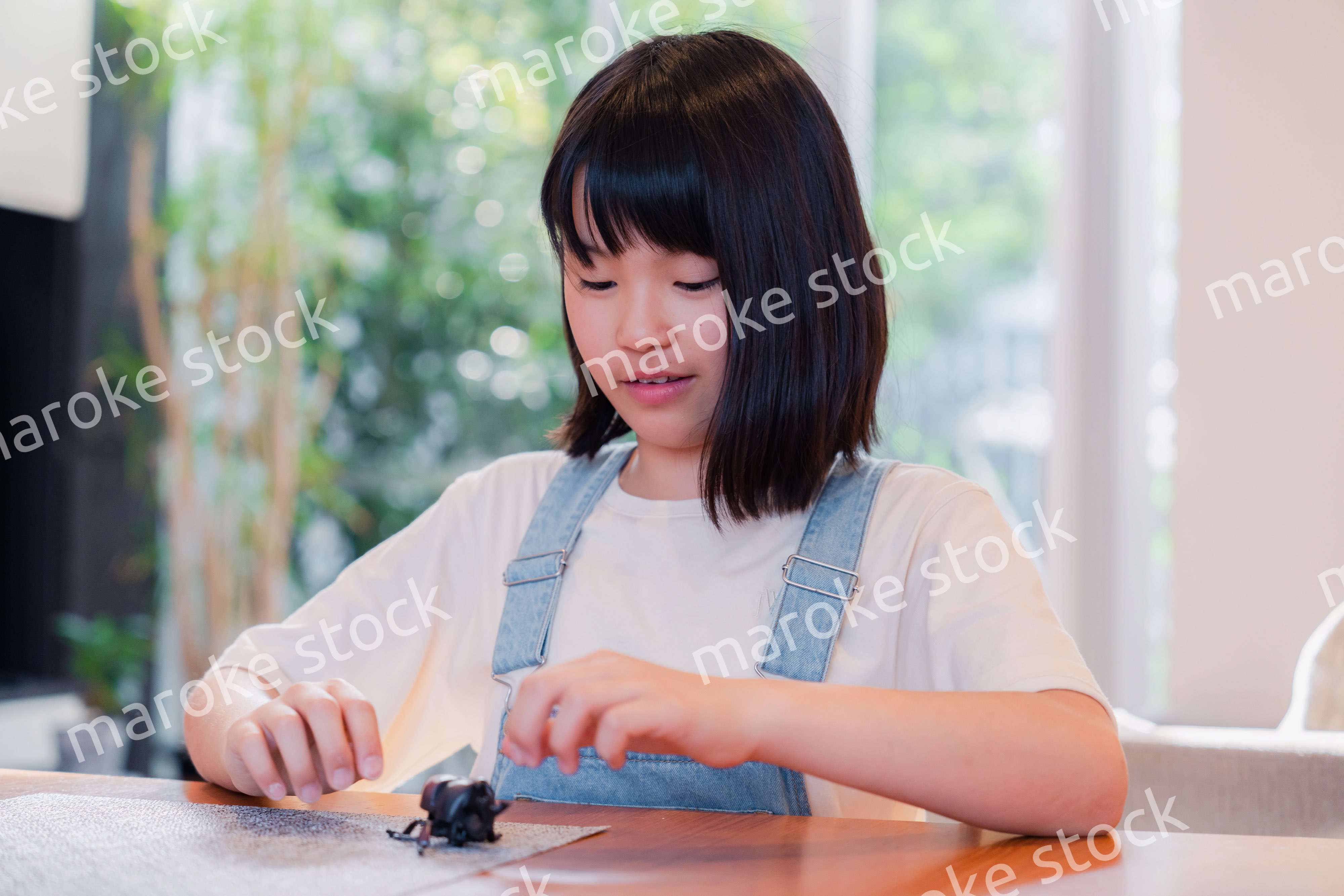 昆虫の観察をする小学生の女の子