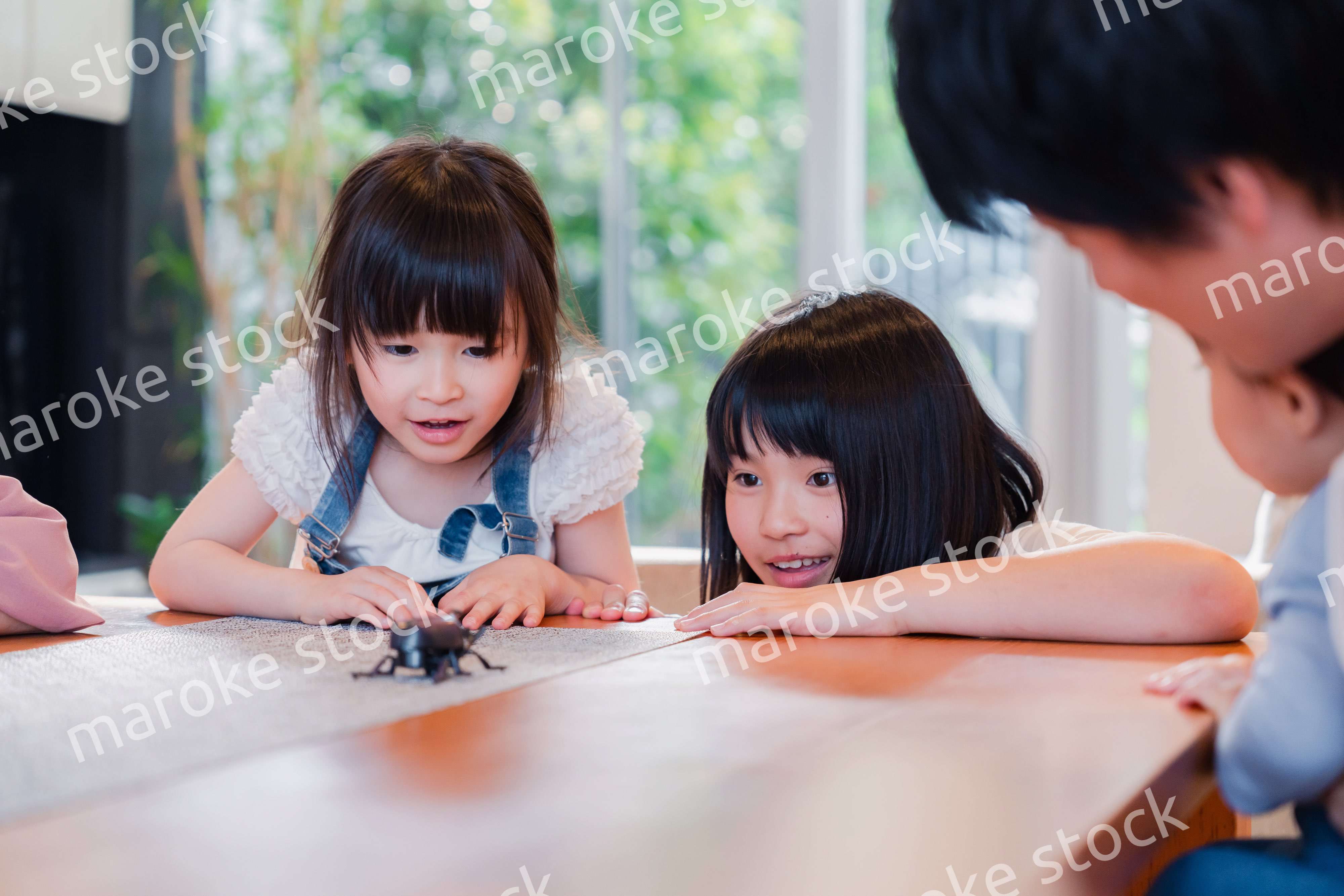 昆虫の観察をする家族