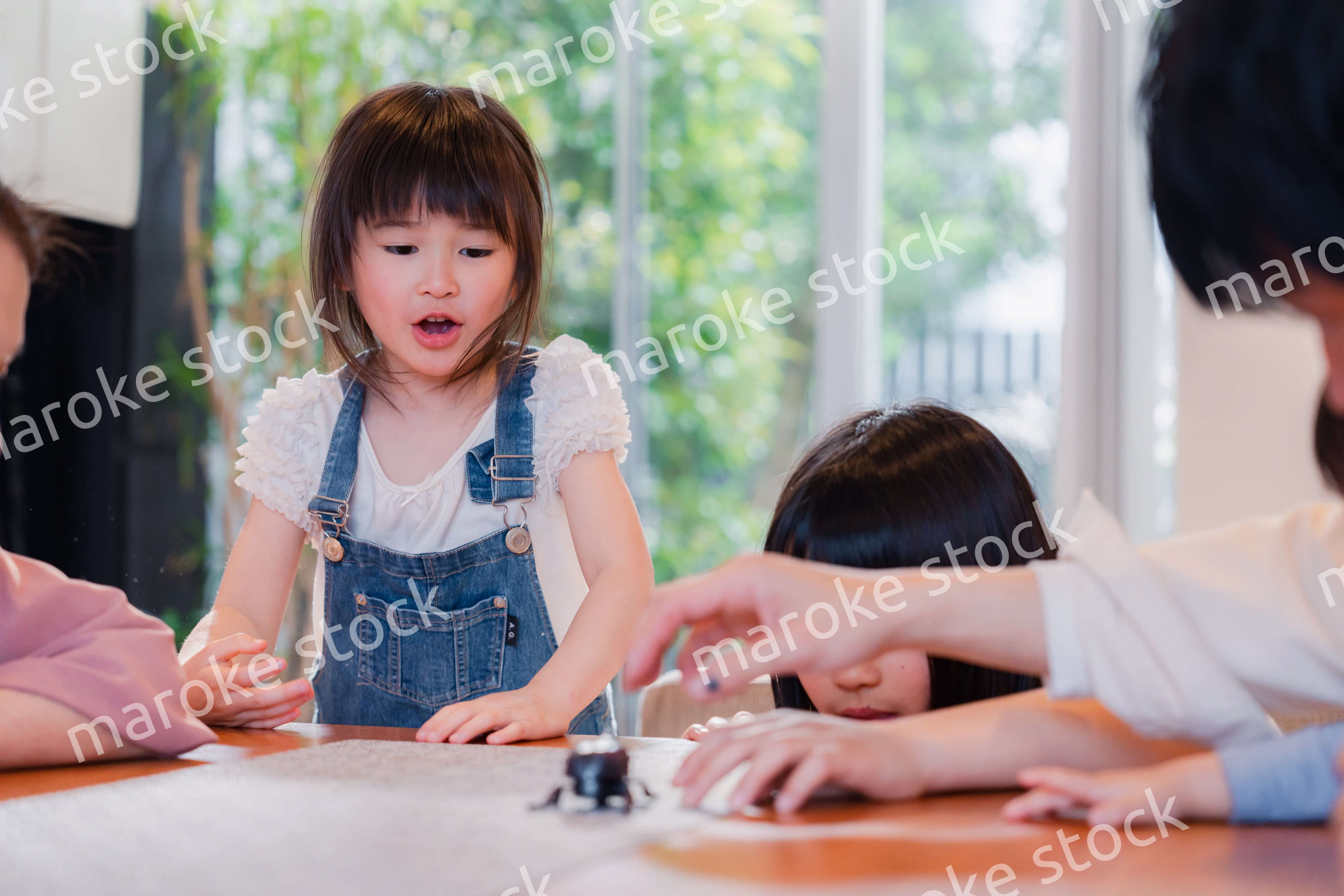 昆虫の観察をする家族