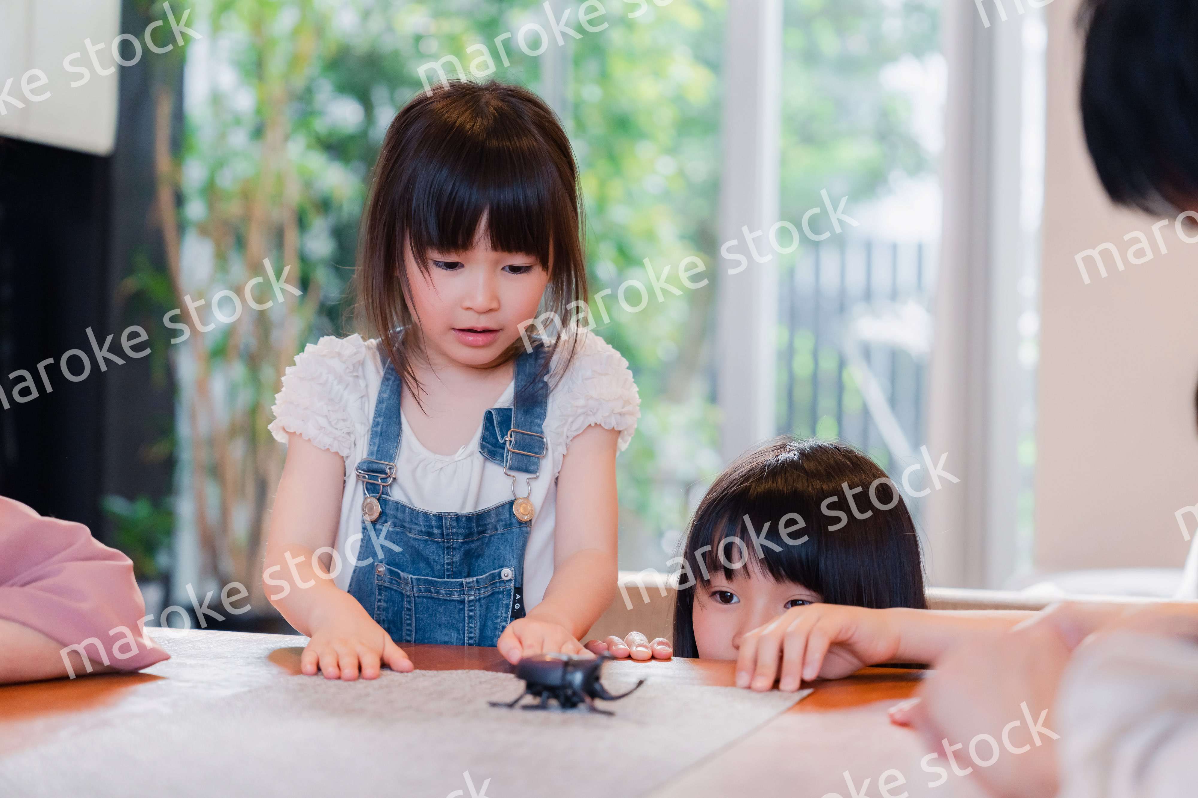 昆虫の観察をする家族