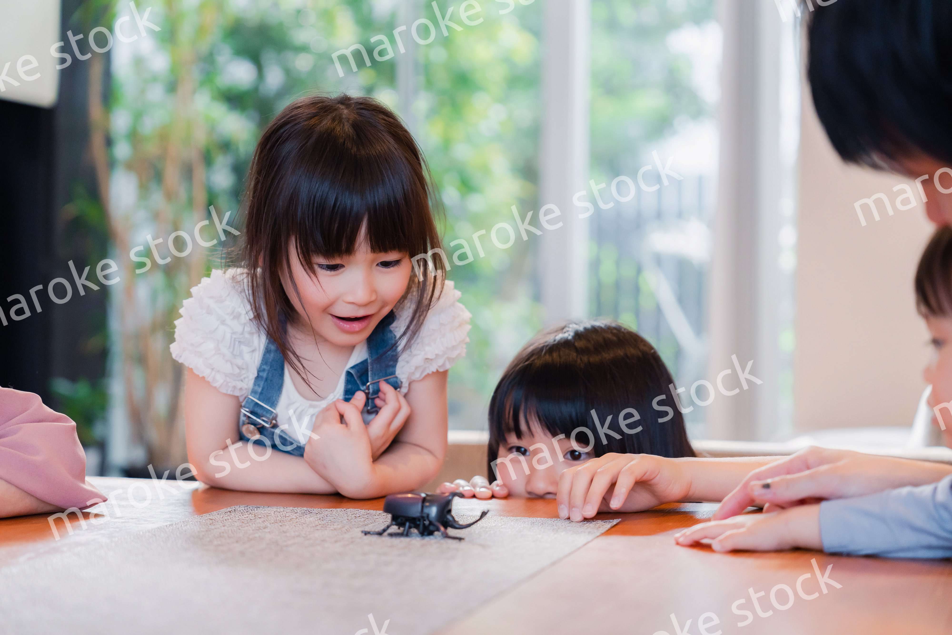 昆虫の観察をする家族