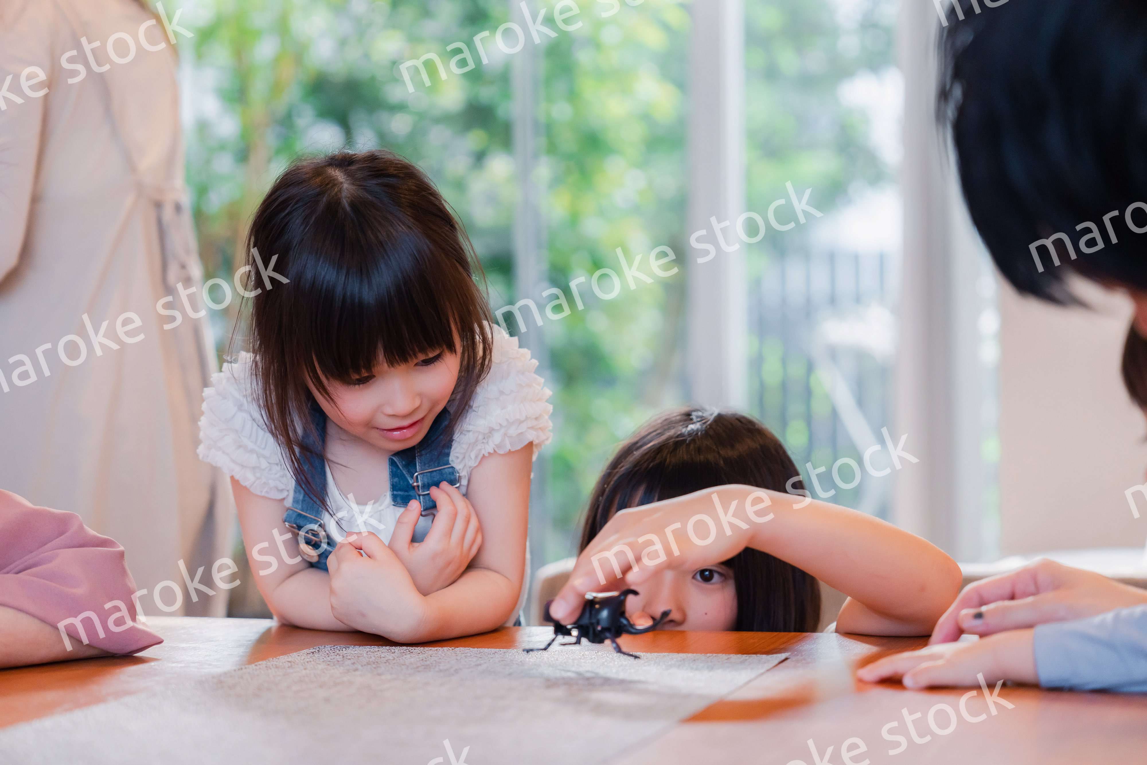 昆虫の観察をする家族