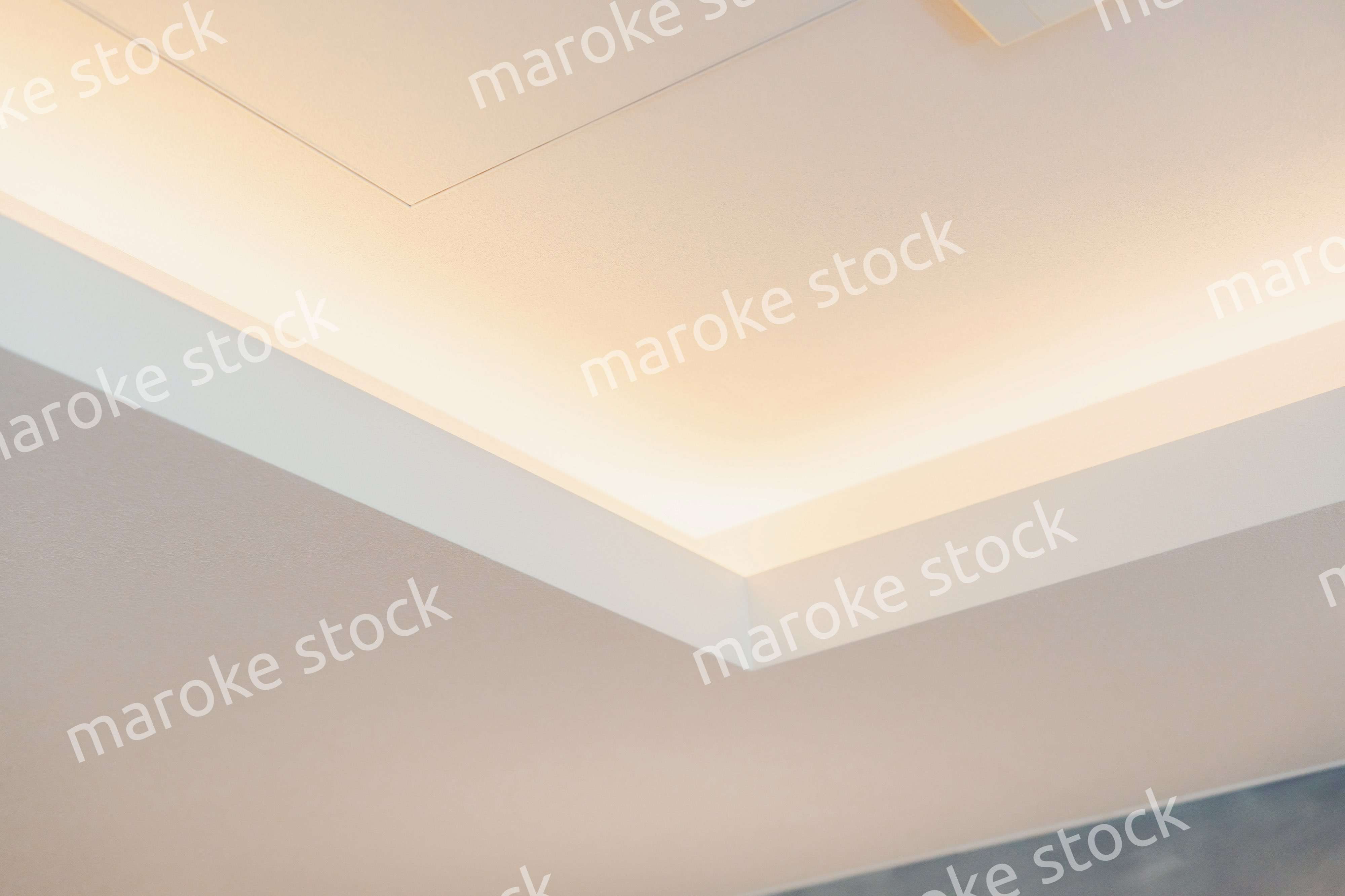 照明がついた折り上げ天井