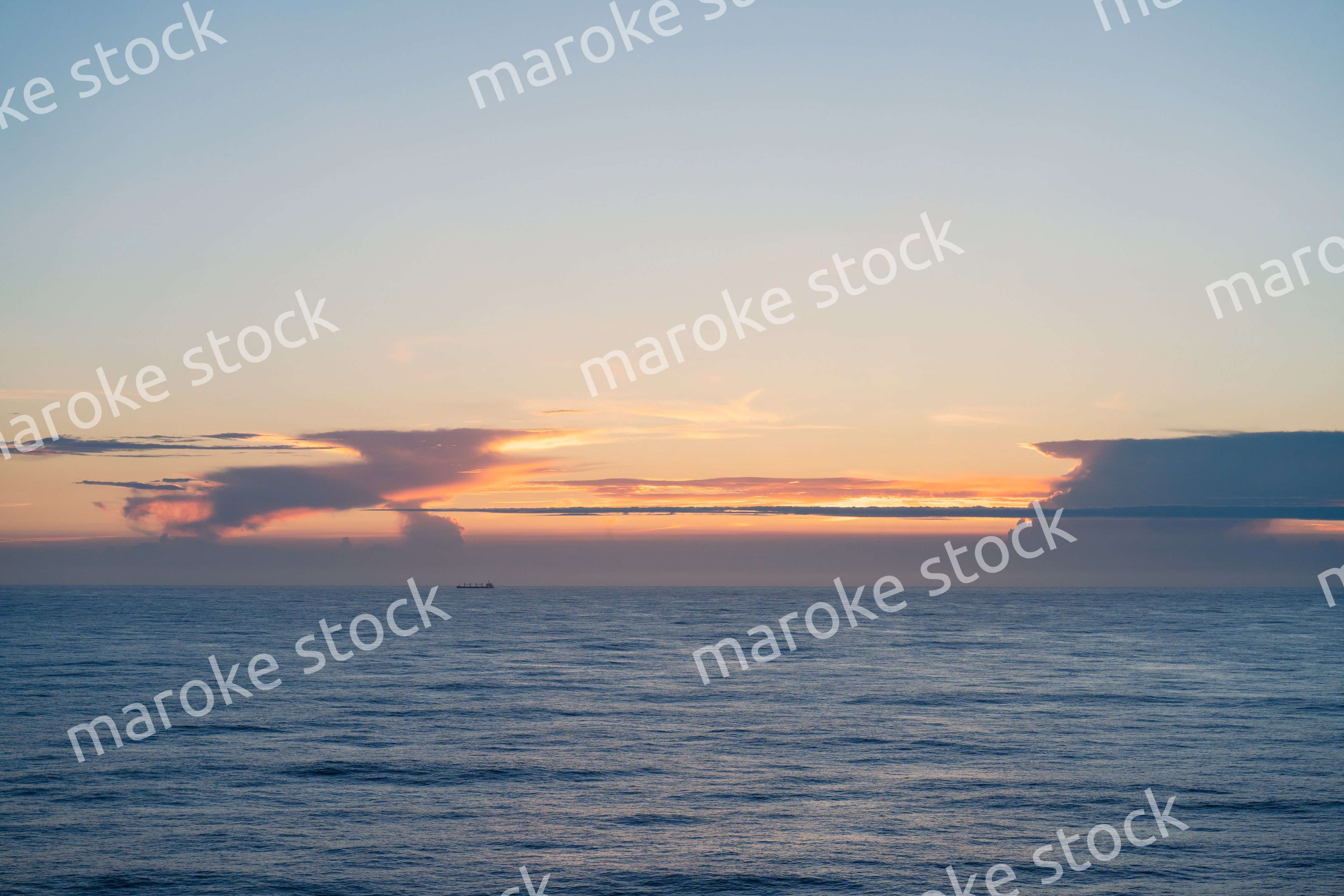 大海原を航海する貨物船