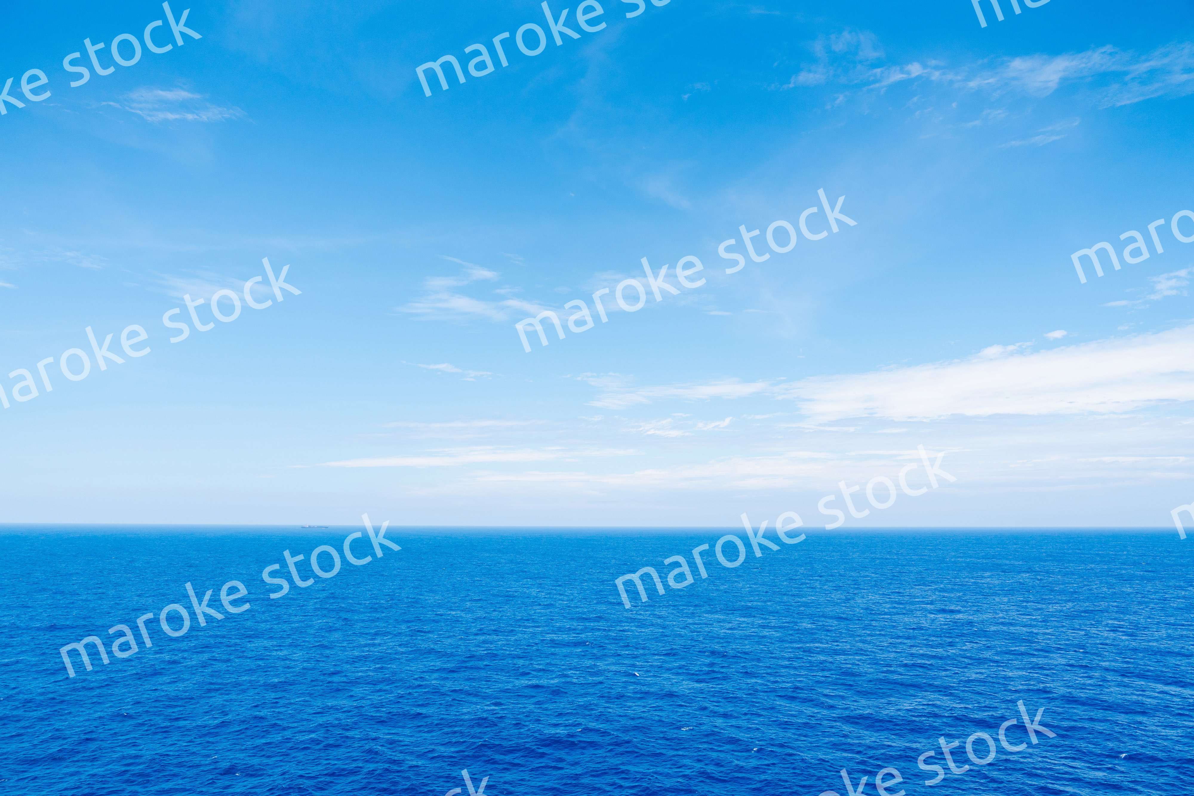 大洋を航海する船