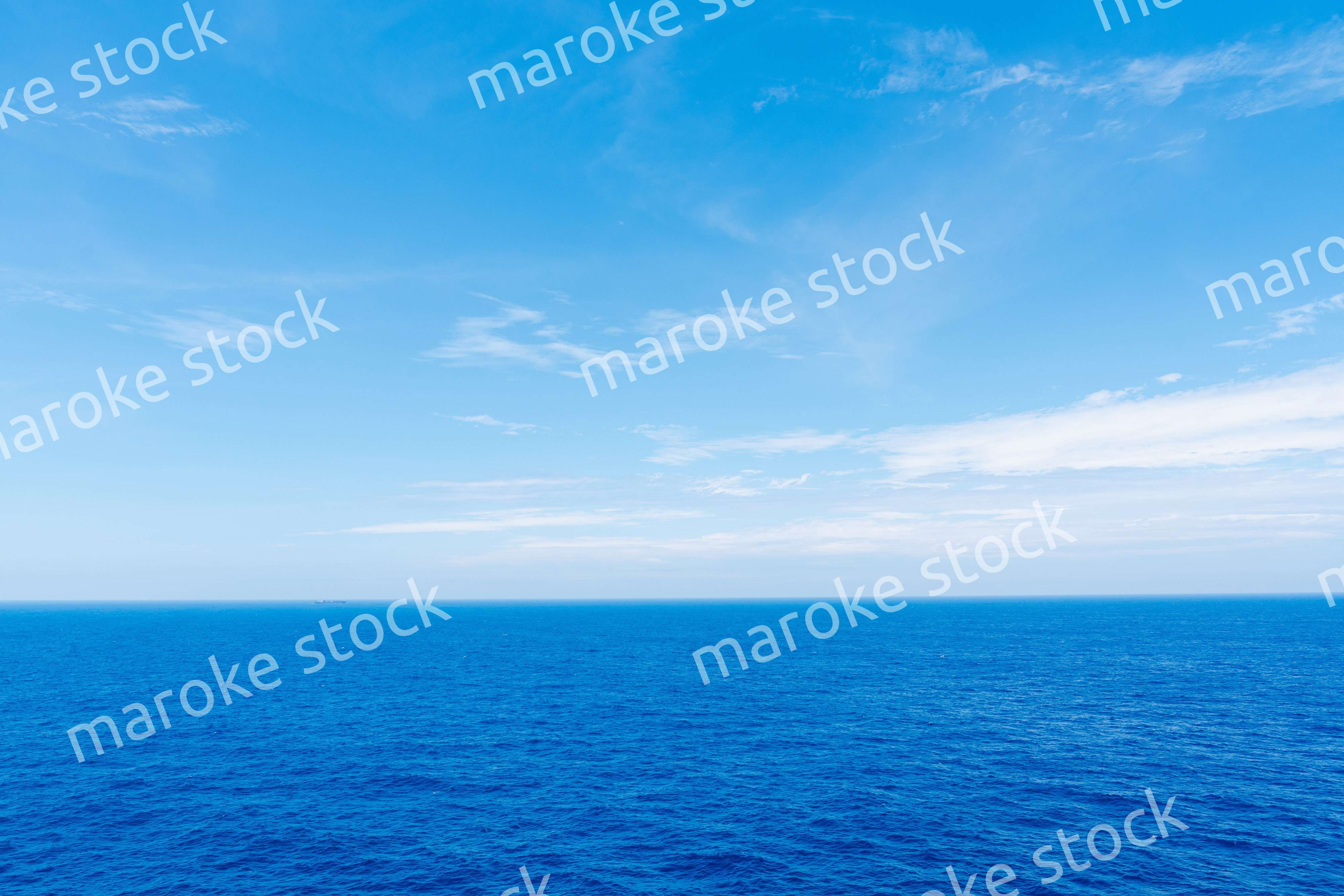 大洋を航海する船