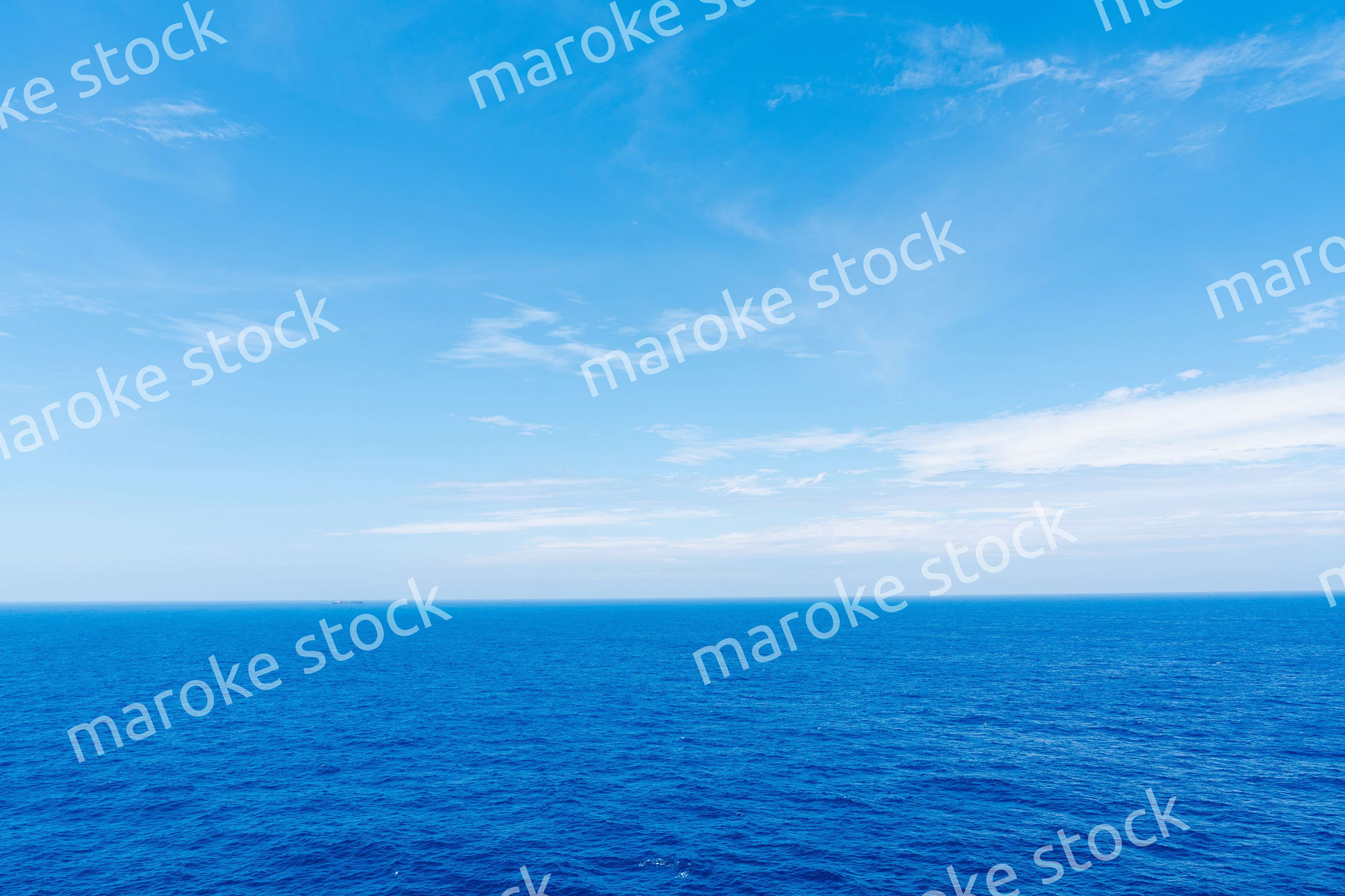 大洋を航海する船