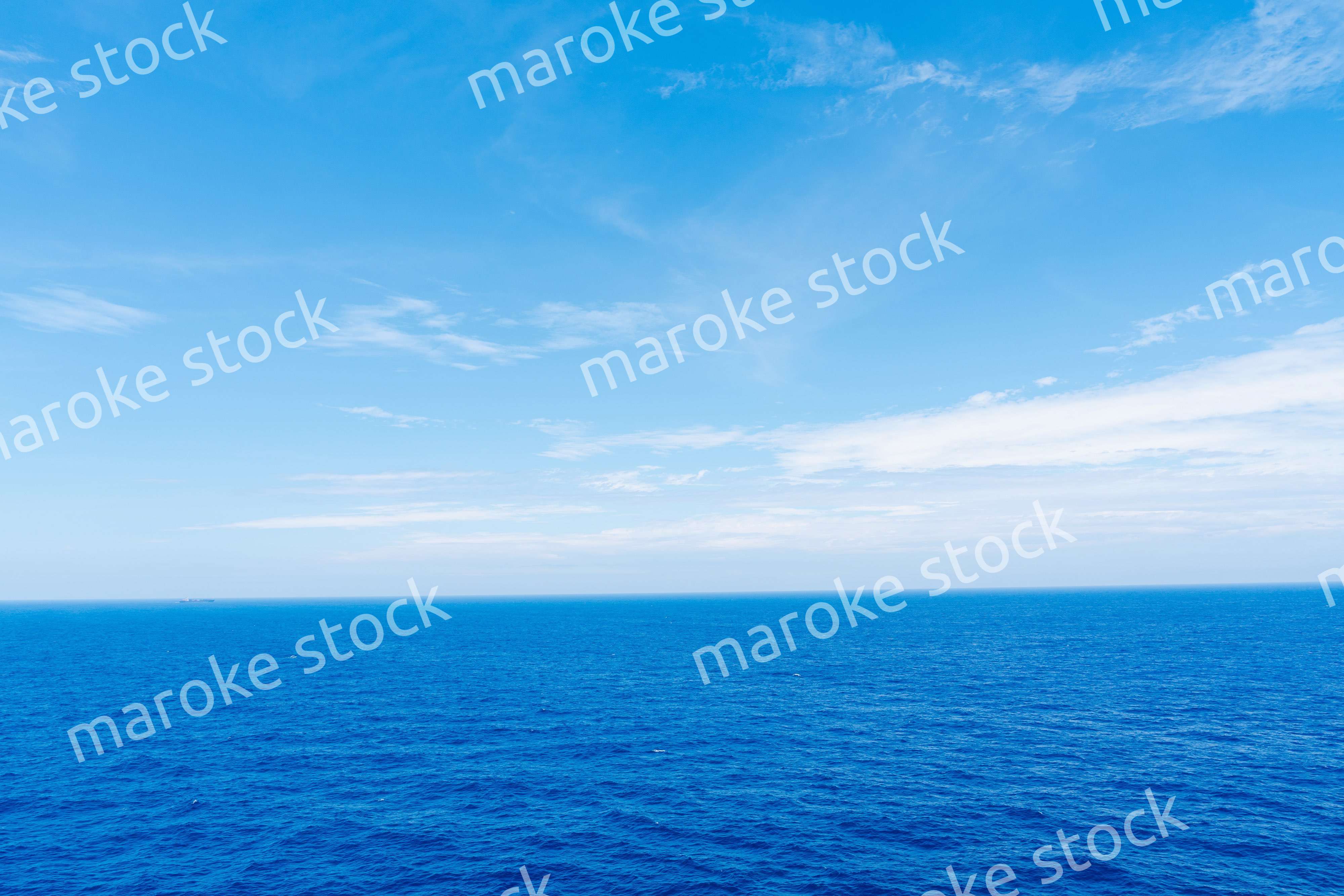 大洋を航海する船