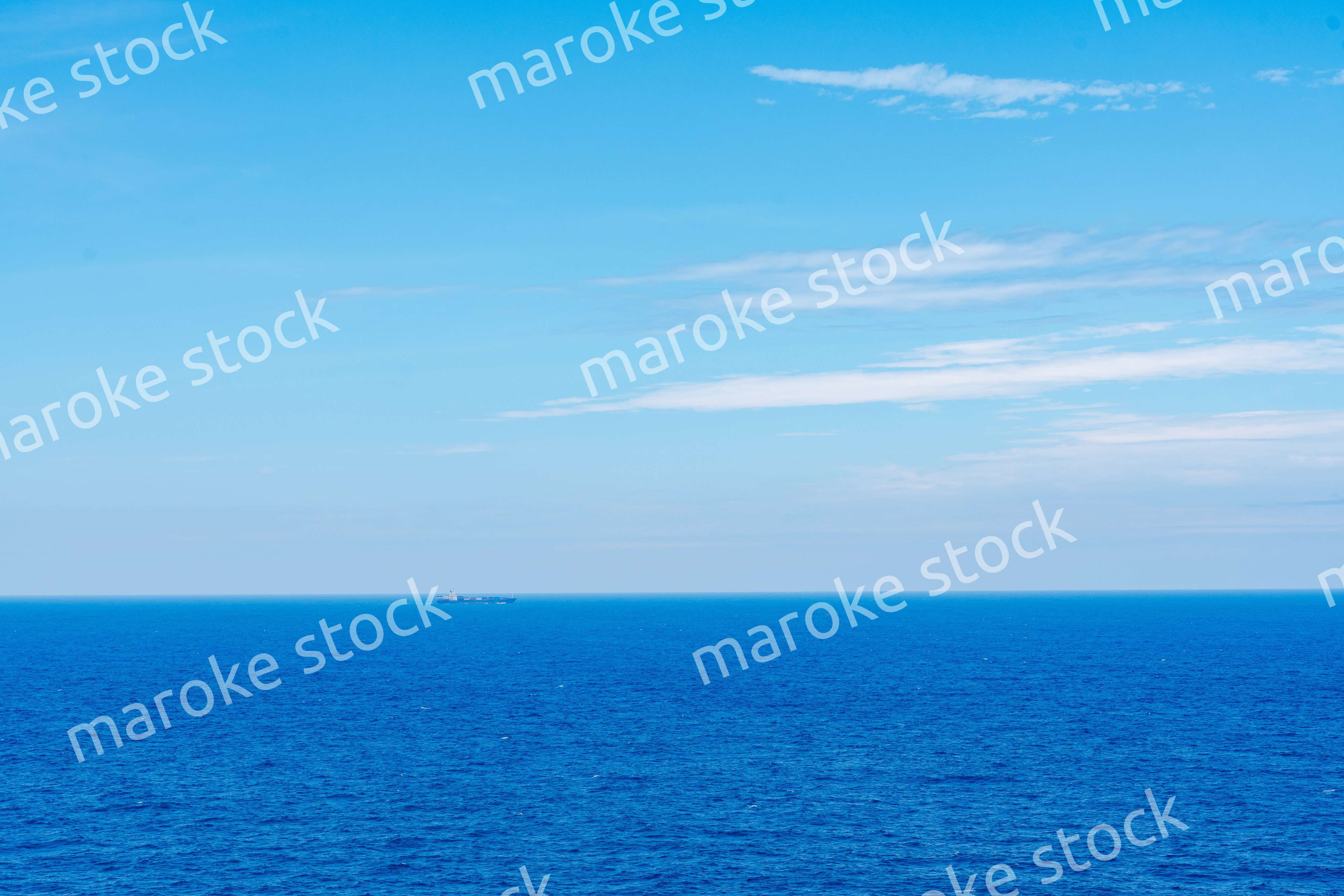 コンテナを積んで航海する貨物船