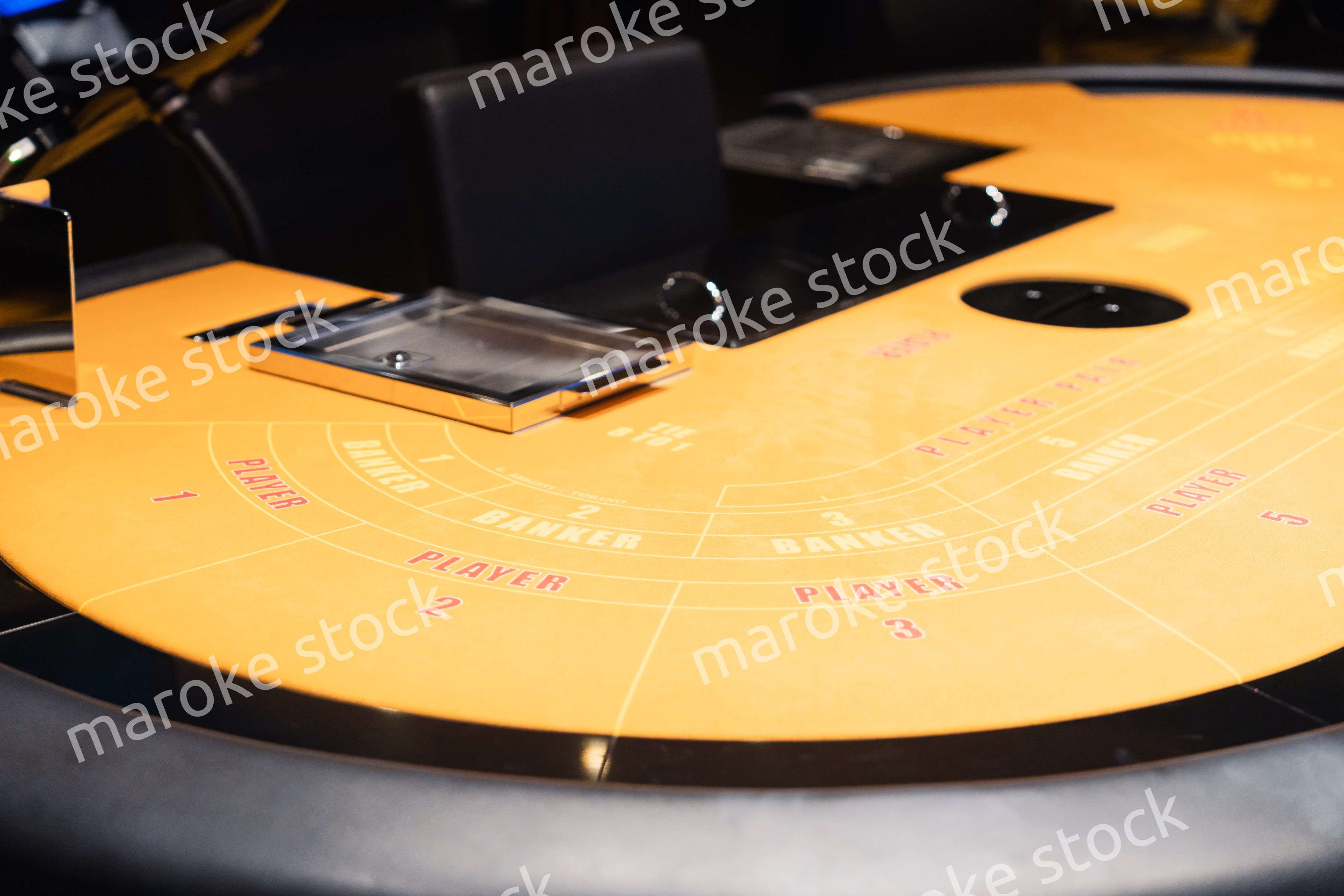 誰もいないカジノ台