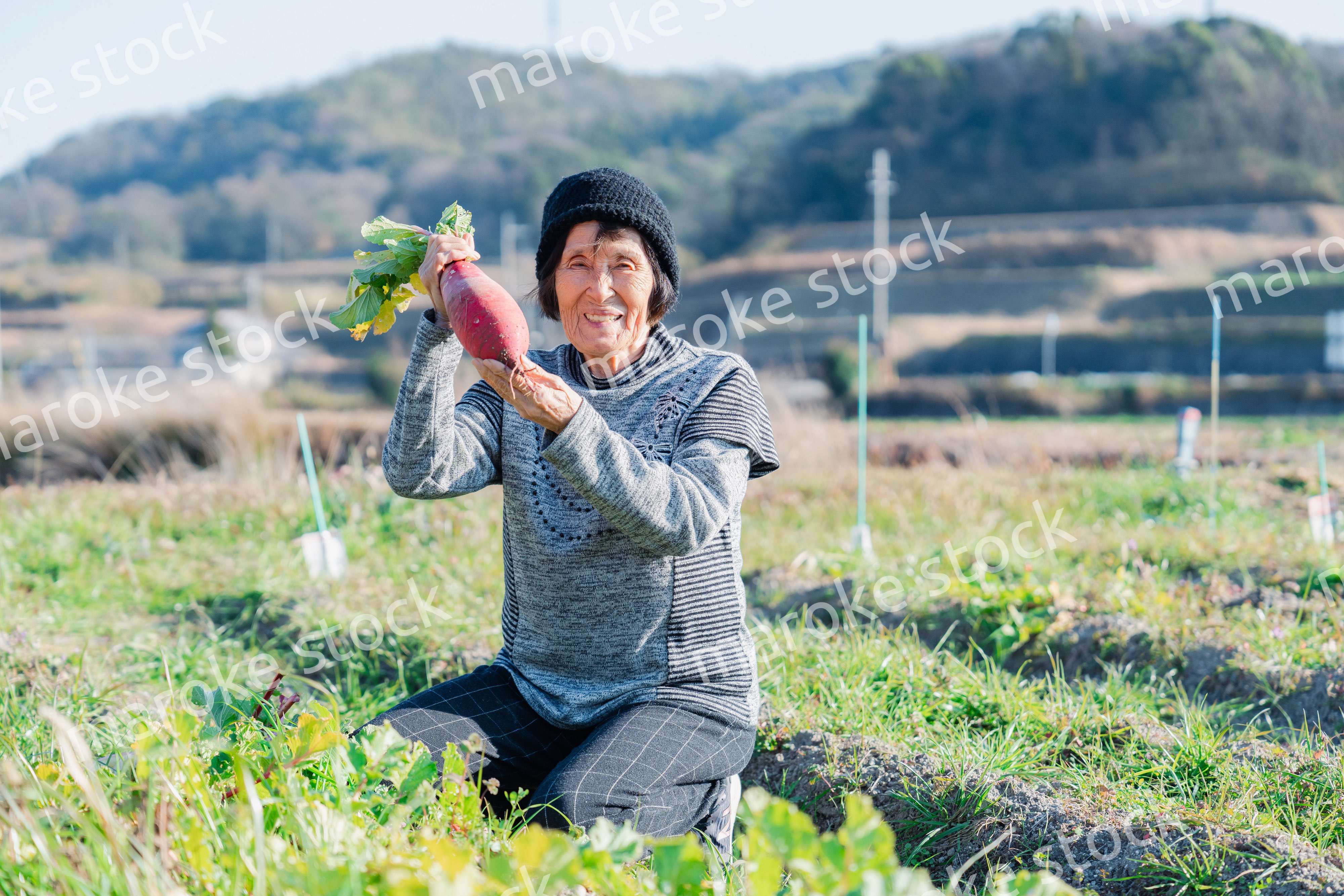 畑で野菜を持つ高齢の女性