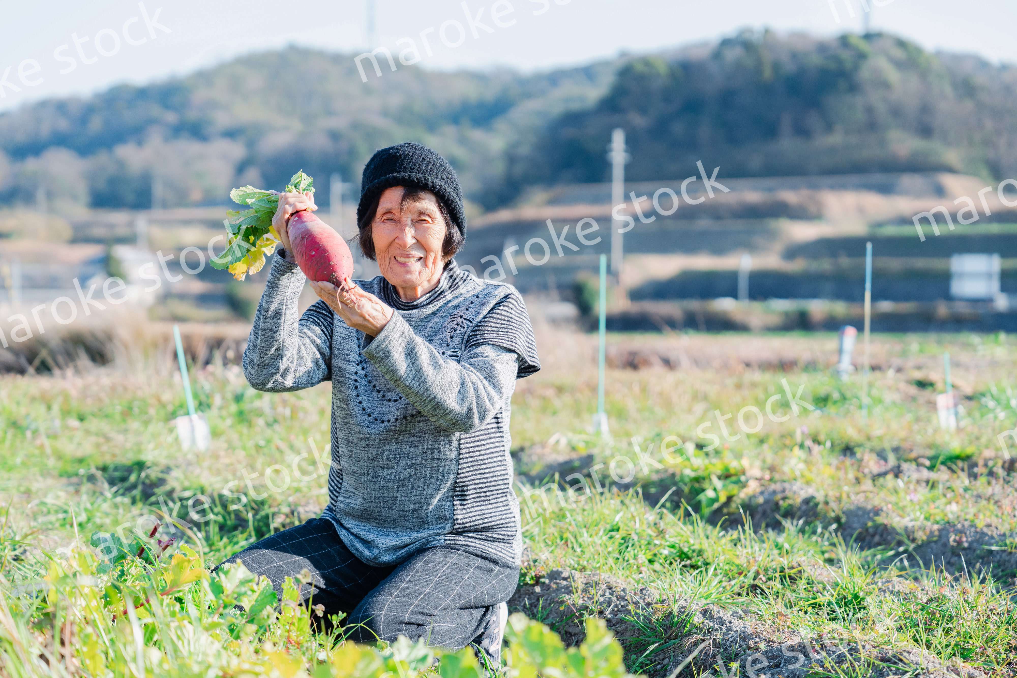畑で野菜を持つ高齢の女性