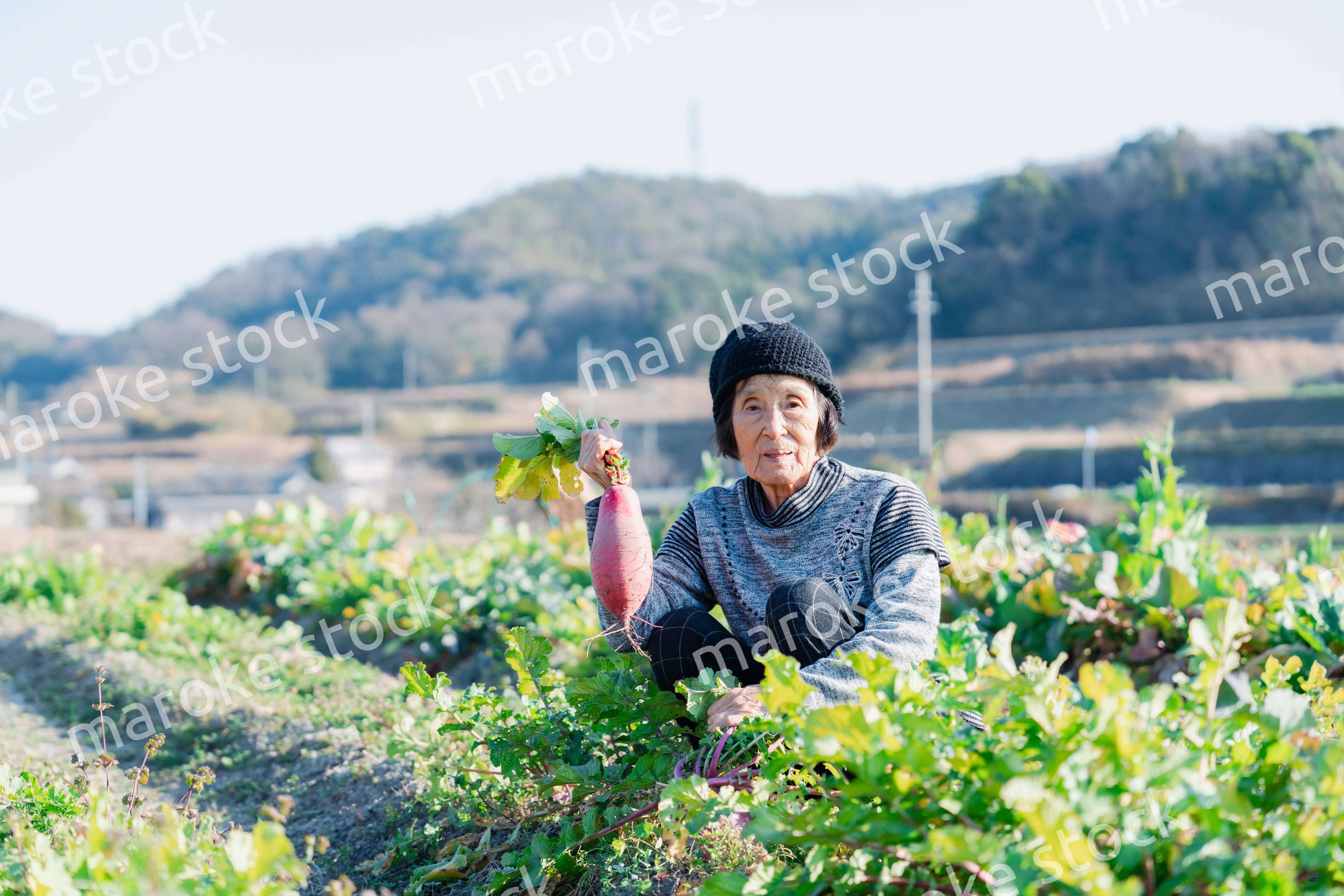 畑で野菜を持つ高齢の女性