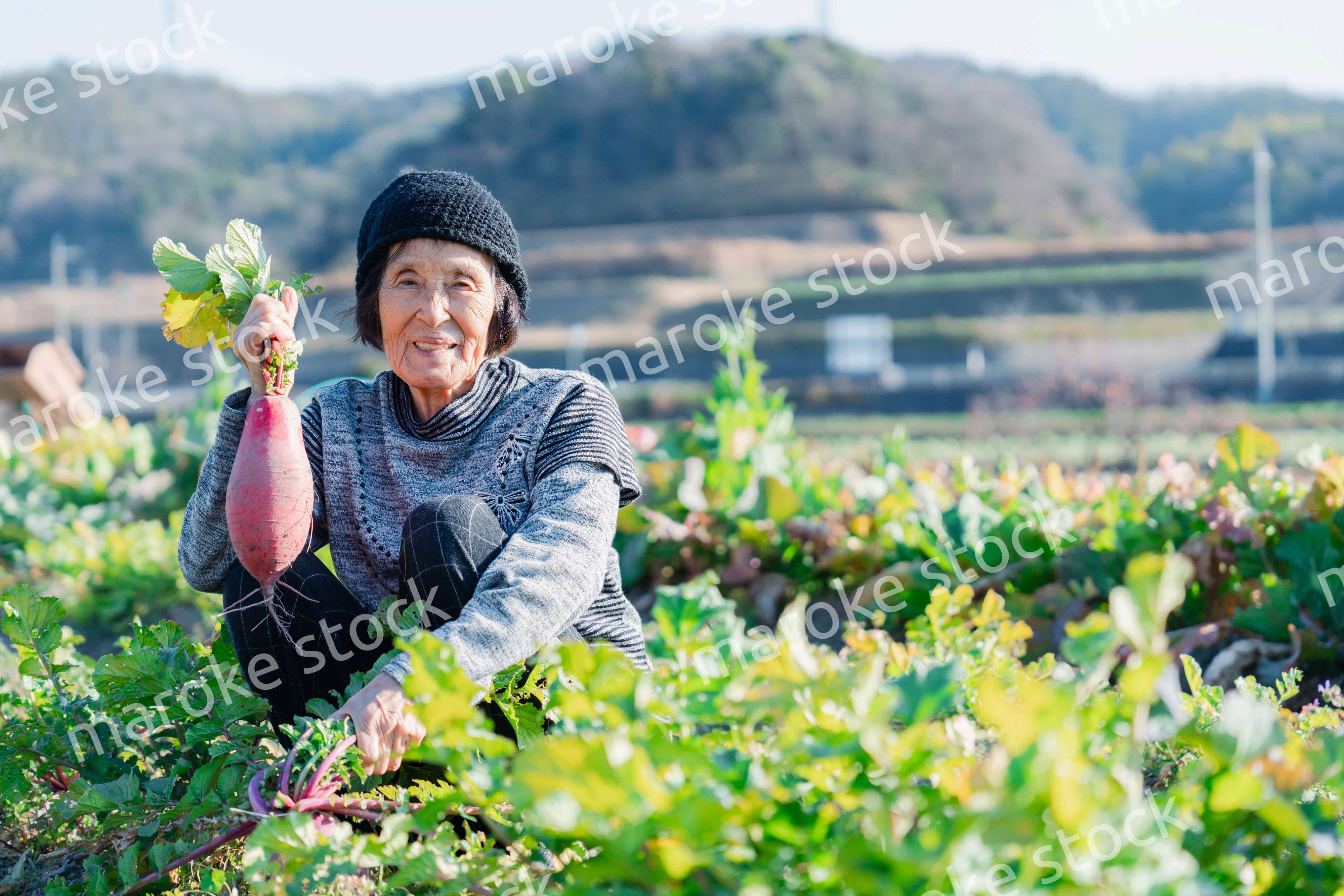 畑で野菜を持つ高齢の女性