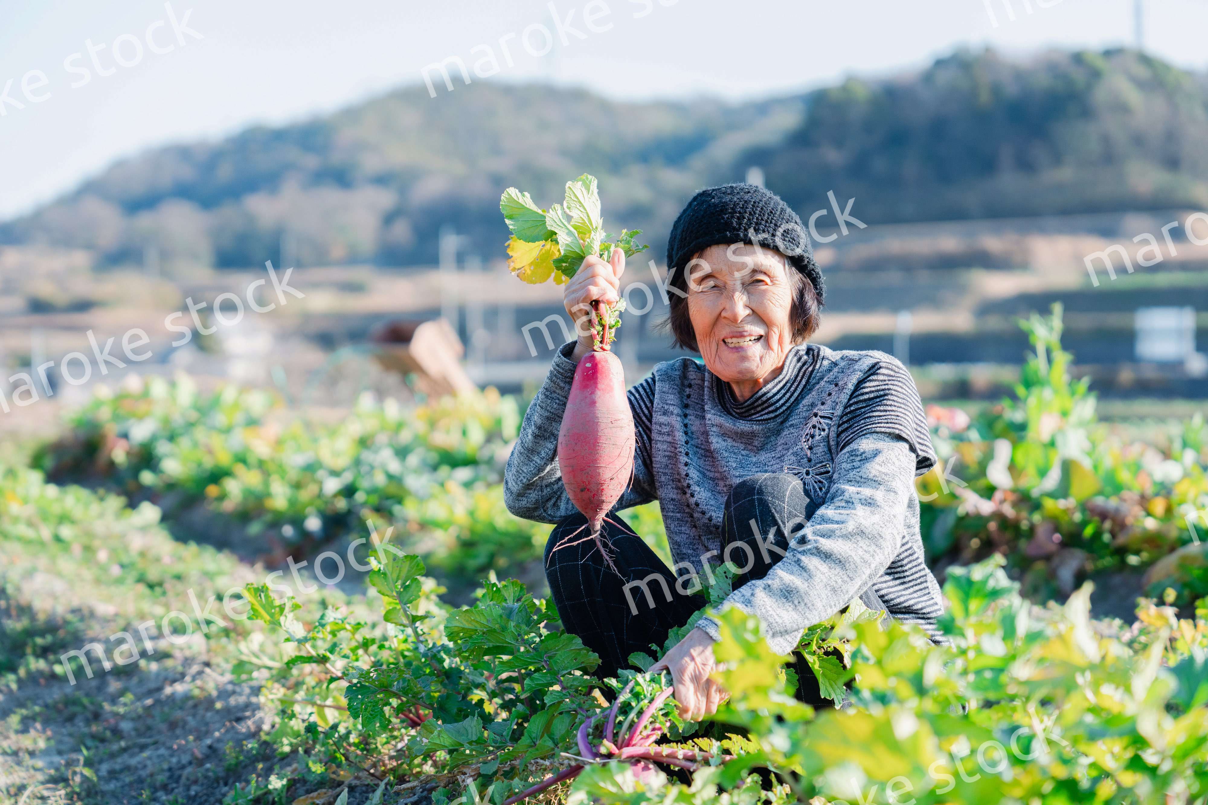 畑で野菜を持つ高齢の女性