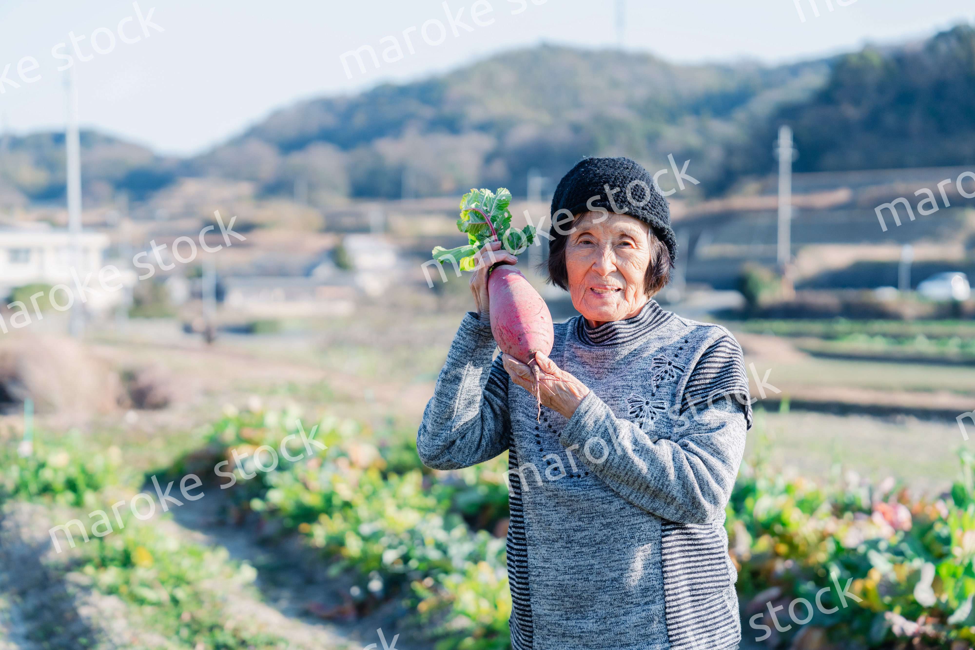 畑で野菜を持つ高齢の女性