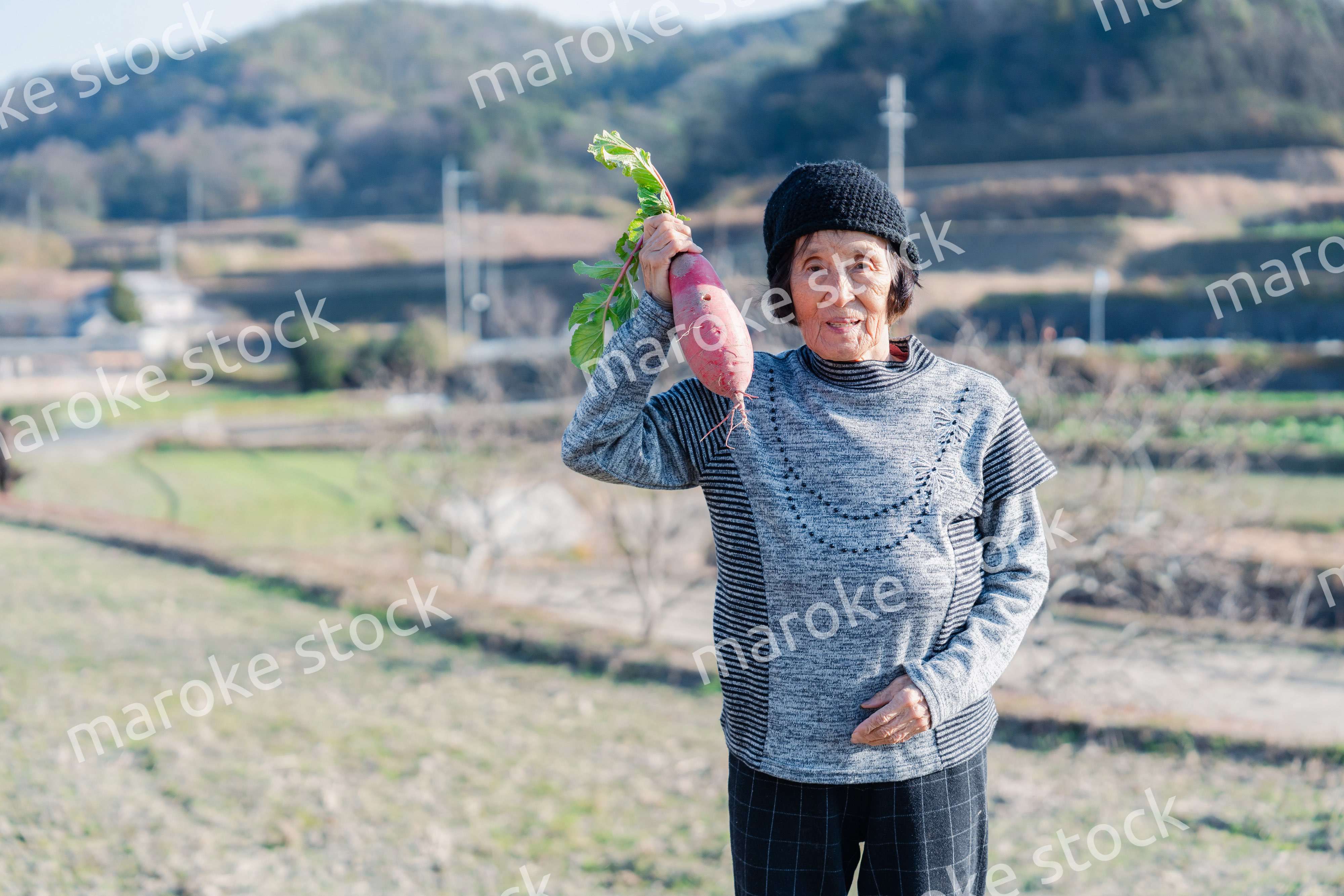 畑で野菜を持つ高齢の女性