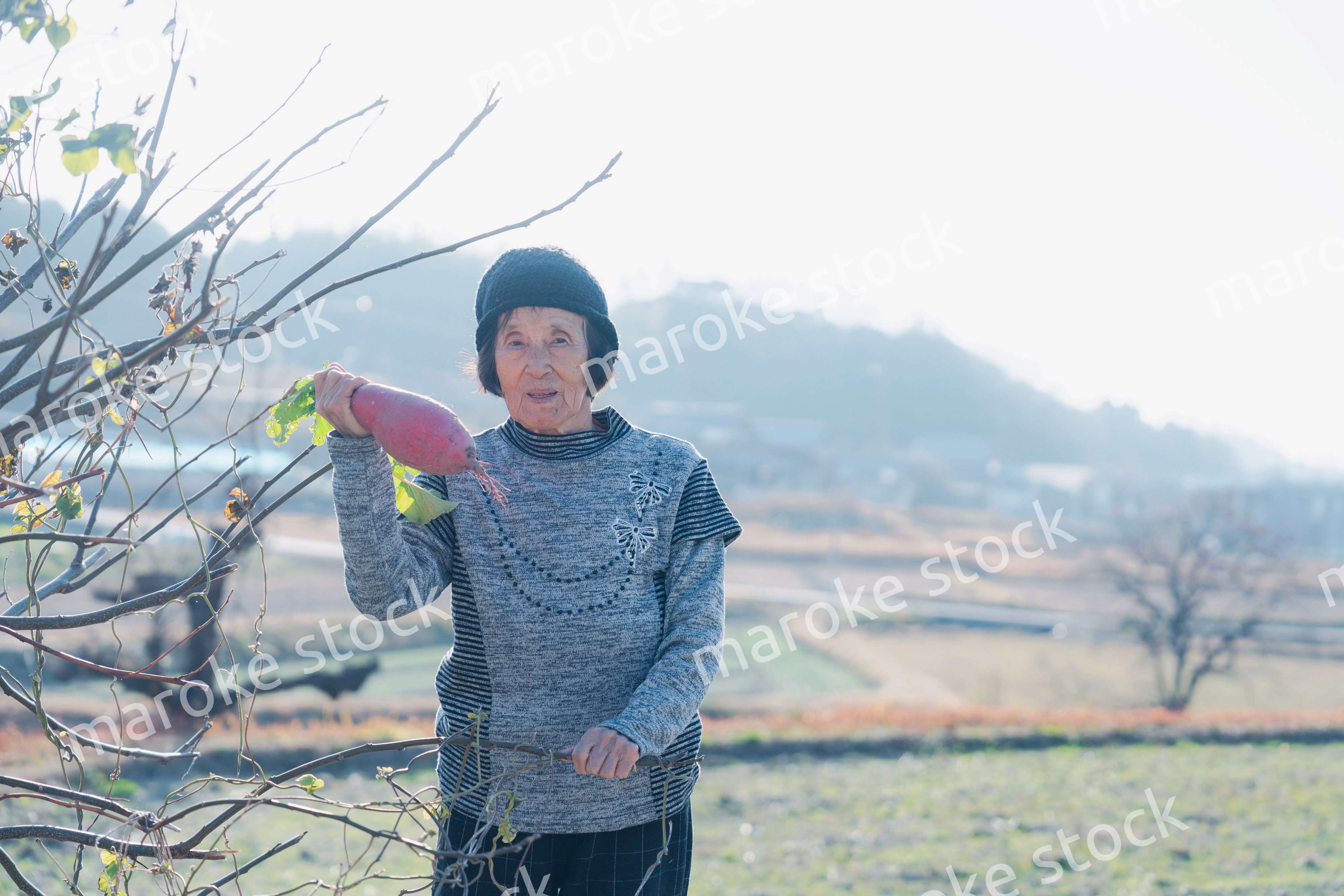畑で野菜を持つ高齢の女性