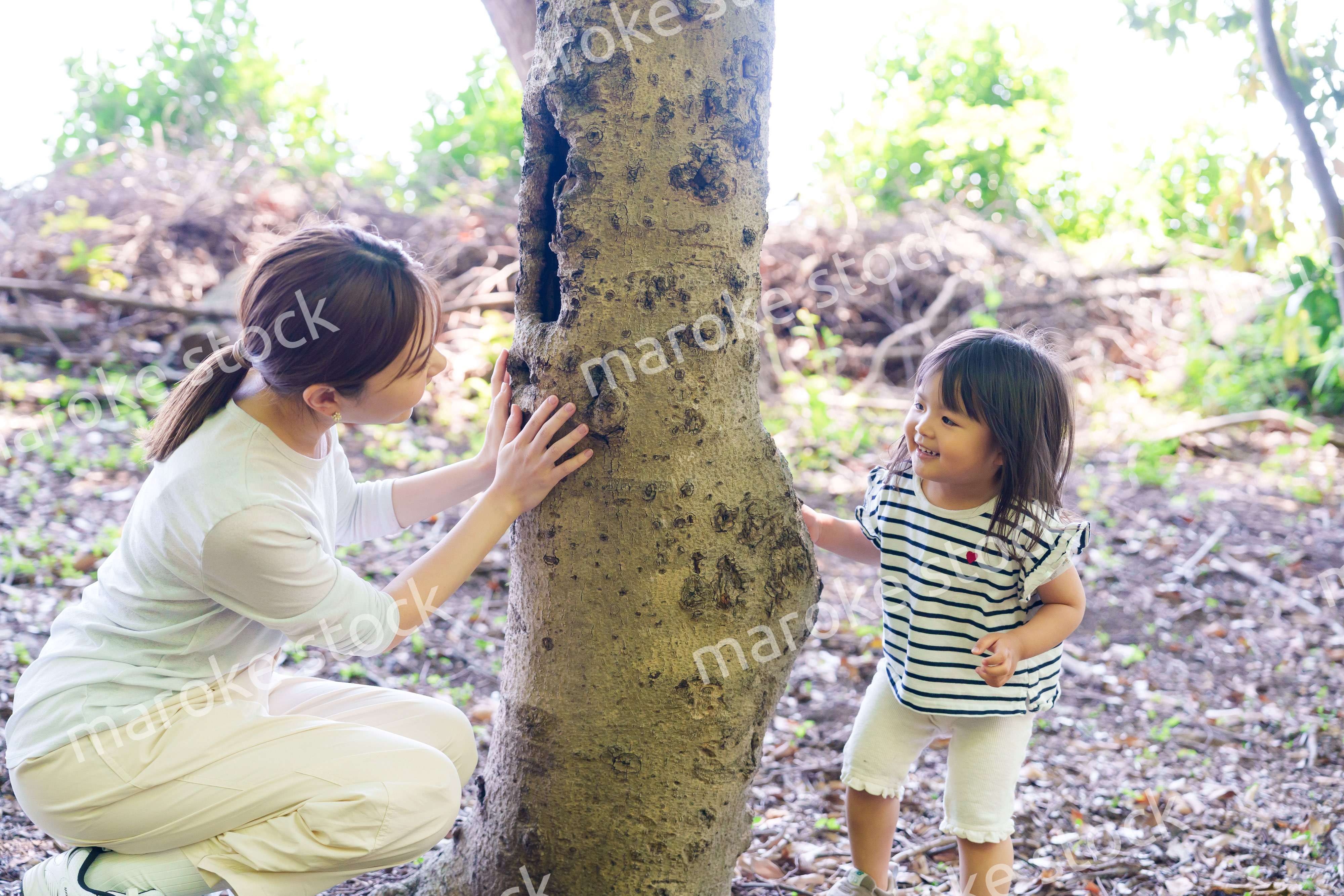 森の中でかくれんぼをするお母さんと子ども