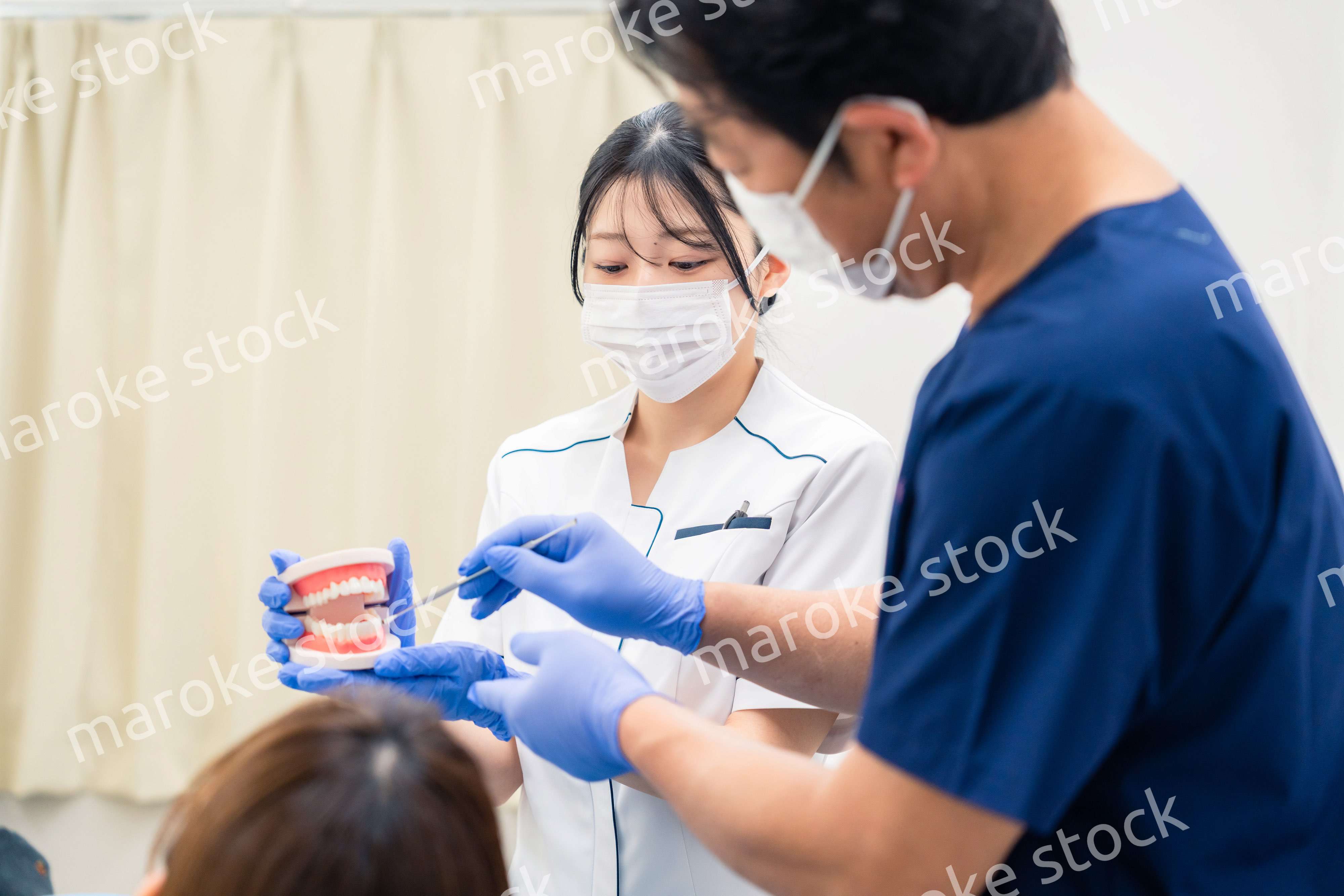 歯の模型を使って歯科治療の説明をする歯医者