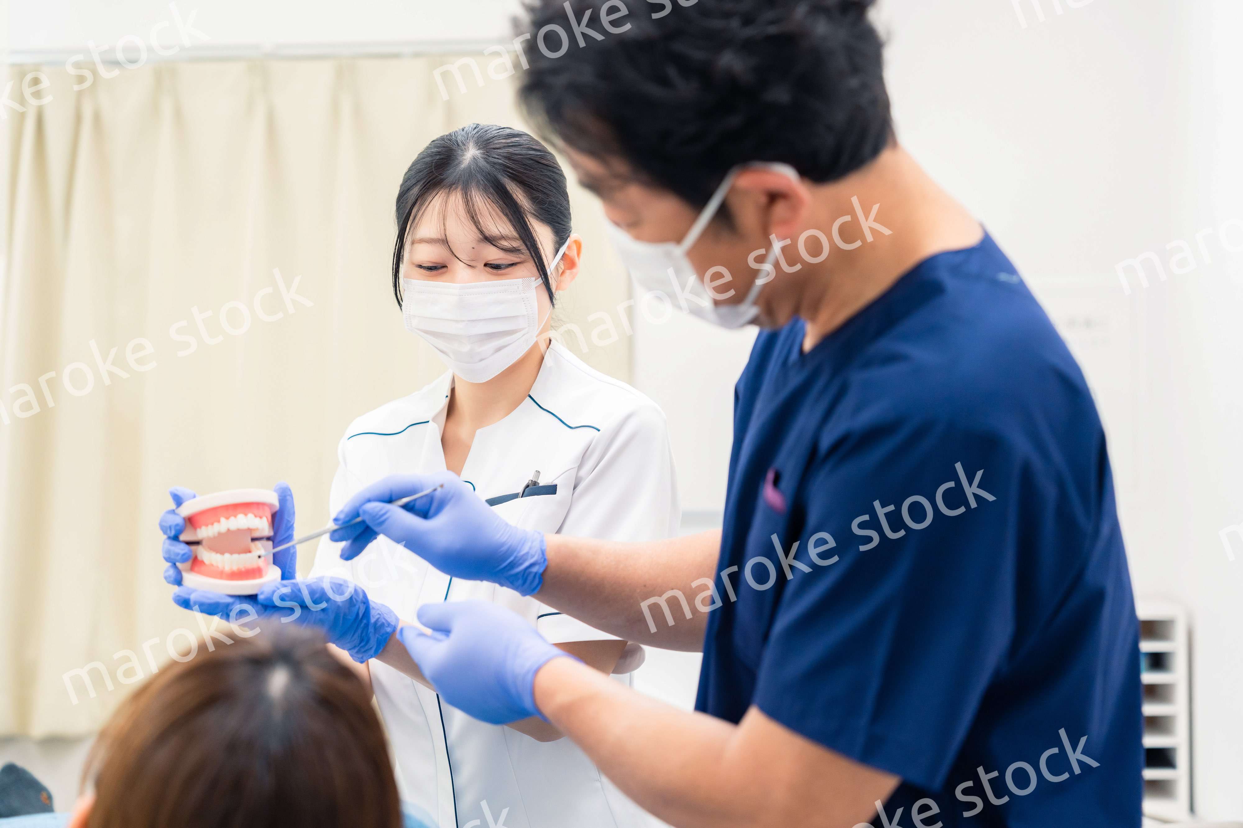 歯の模型を使って歯科治療の説明をする歯医者