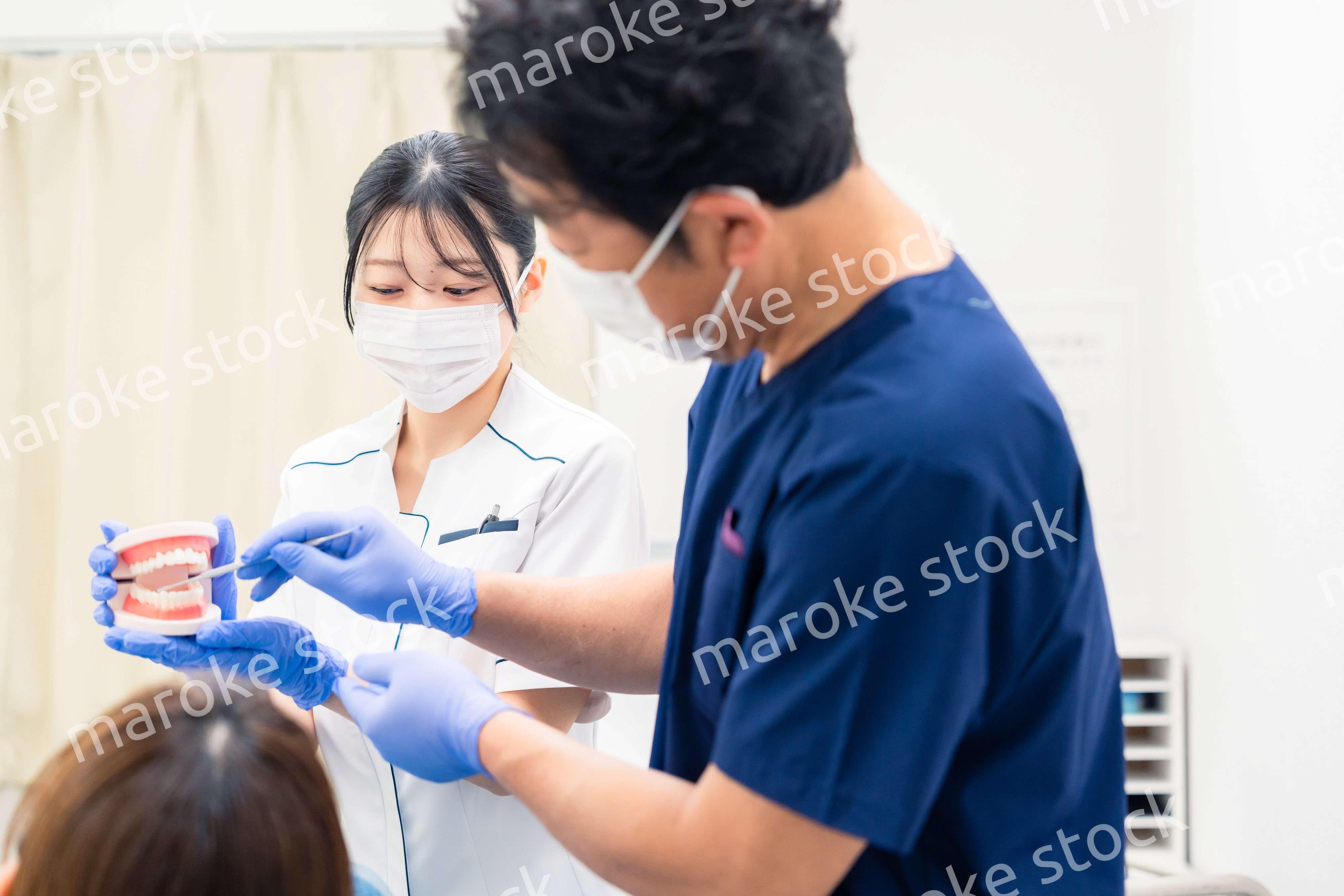 歯の模型を使って歯科治療の説明をする歯医者