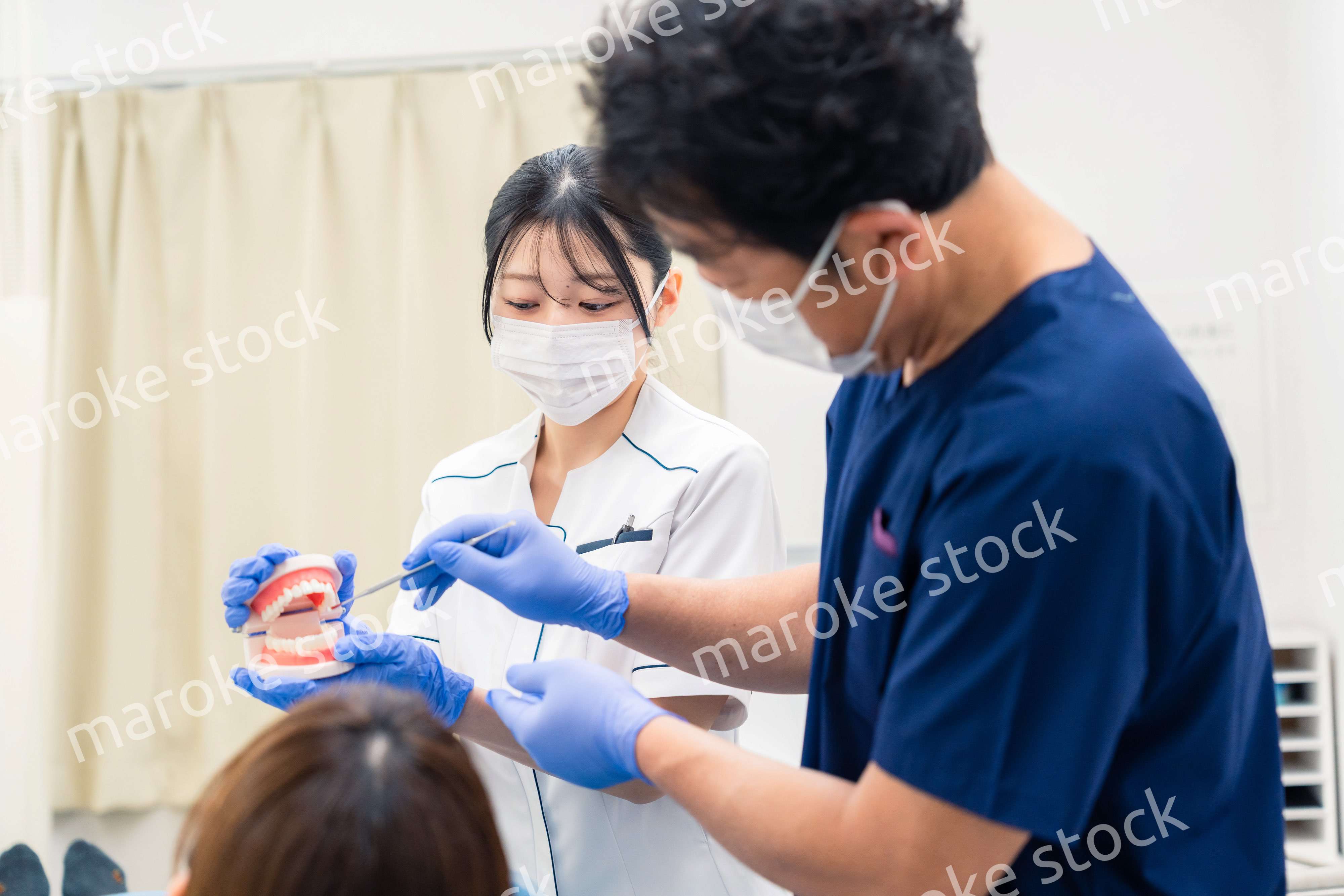 歯の模型を使って歯科治療の説明をする歯医者