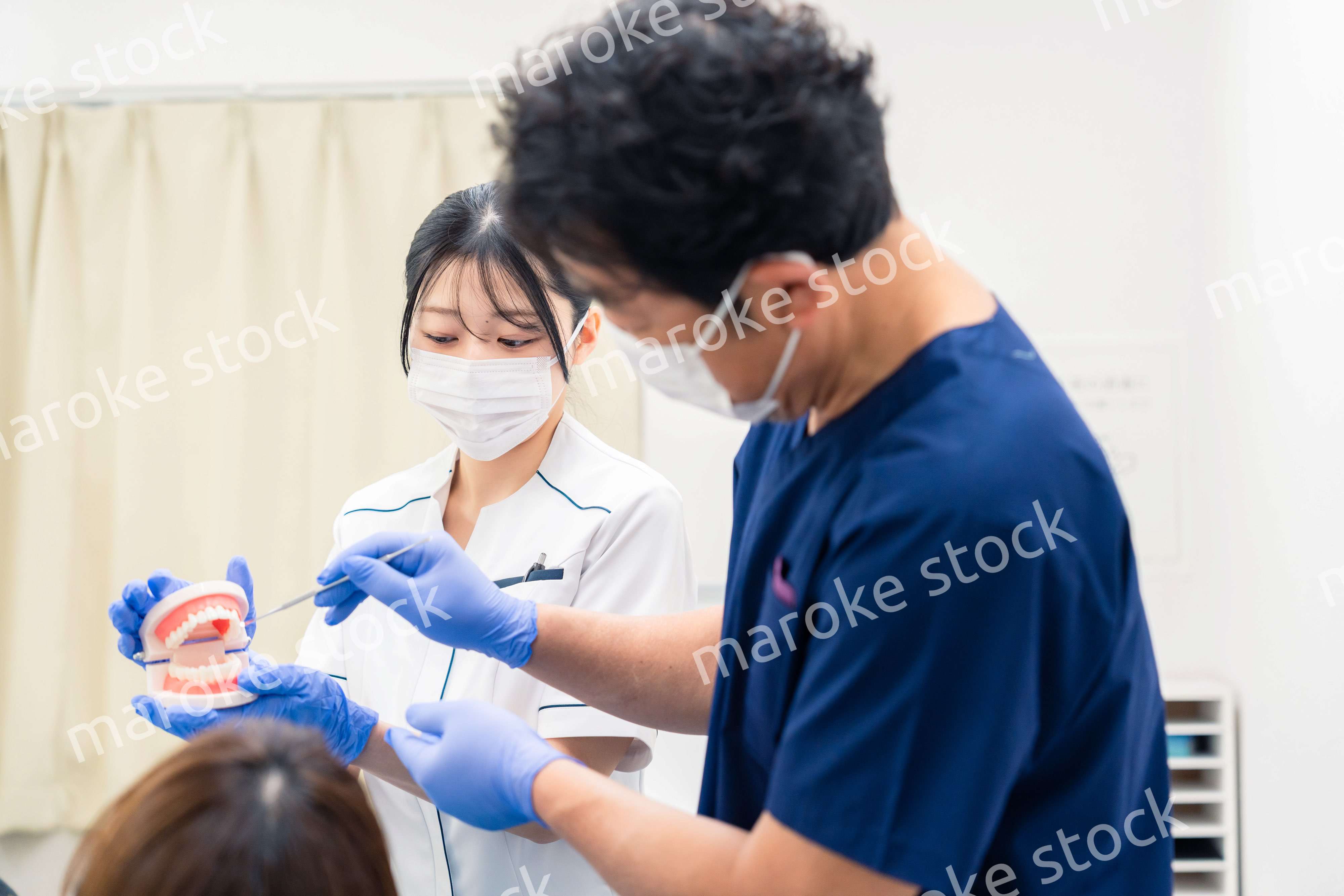 歯の模型を使って歯科治療の説明をする歯医者