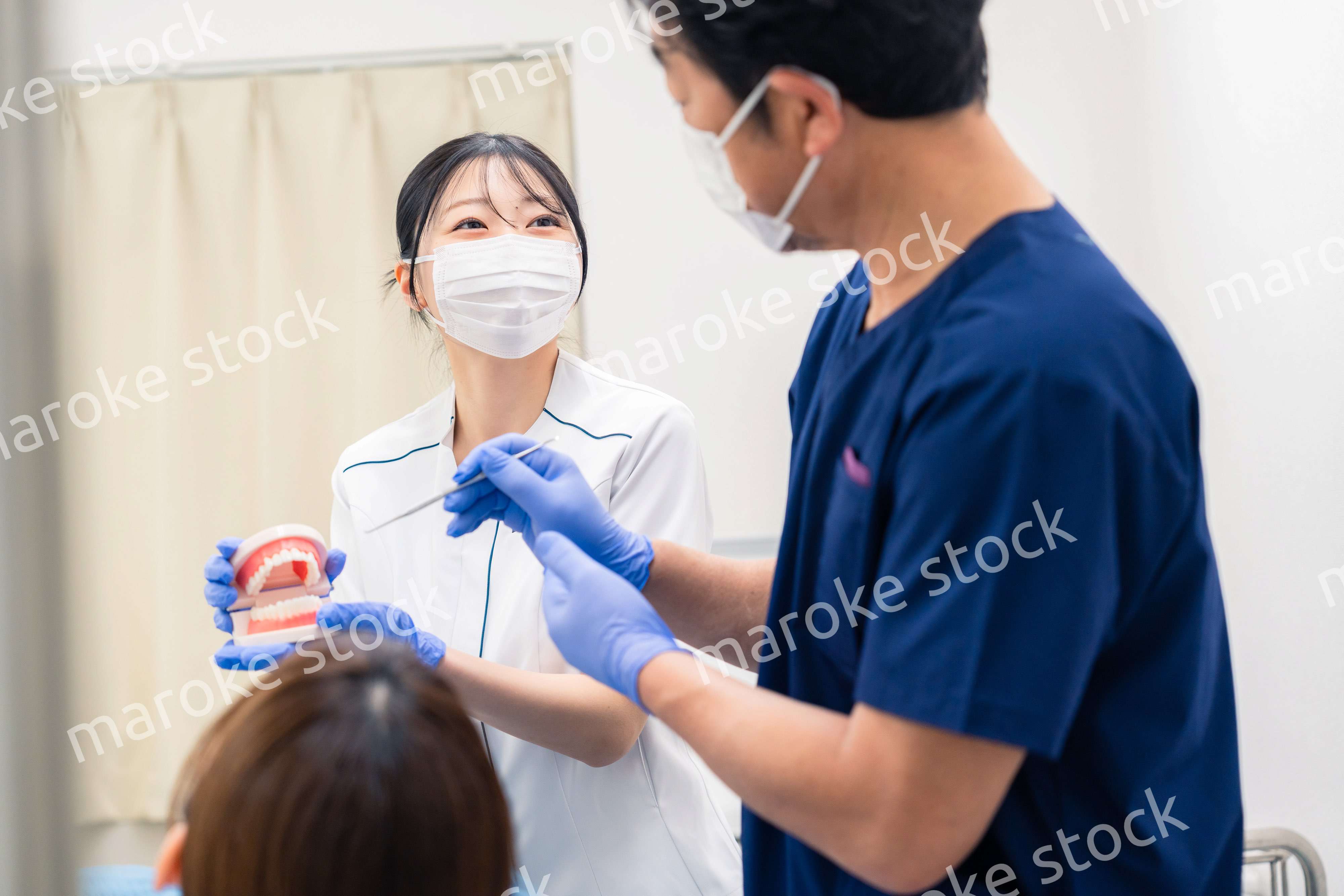 歯の模型を使って歯科治療の説明をする歯医者