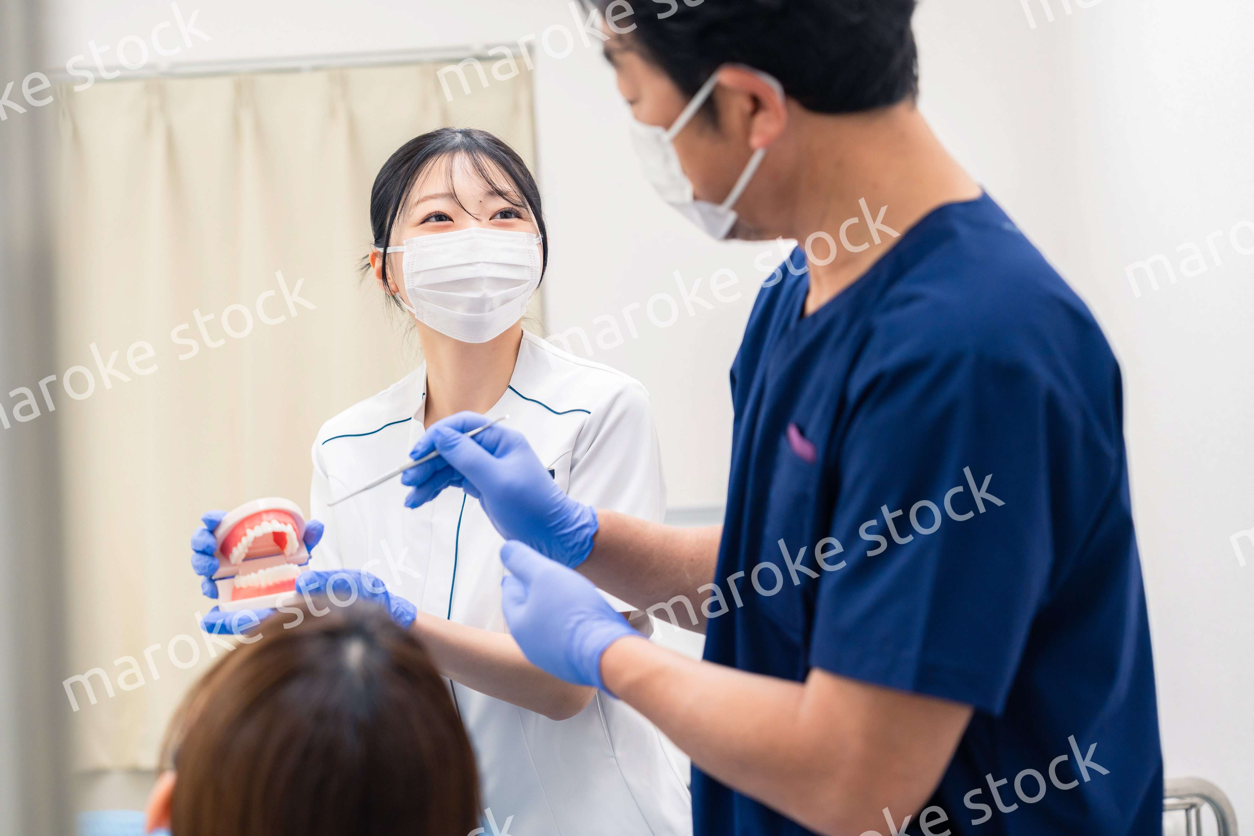 歯の模型を使って歯科治療の説明をする歯医者
