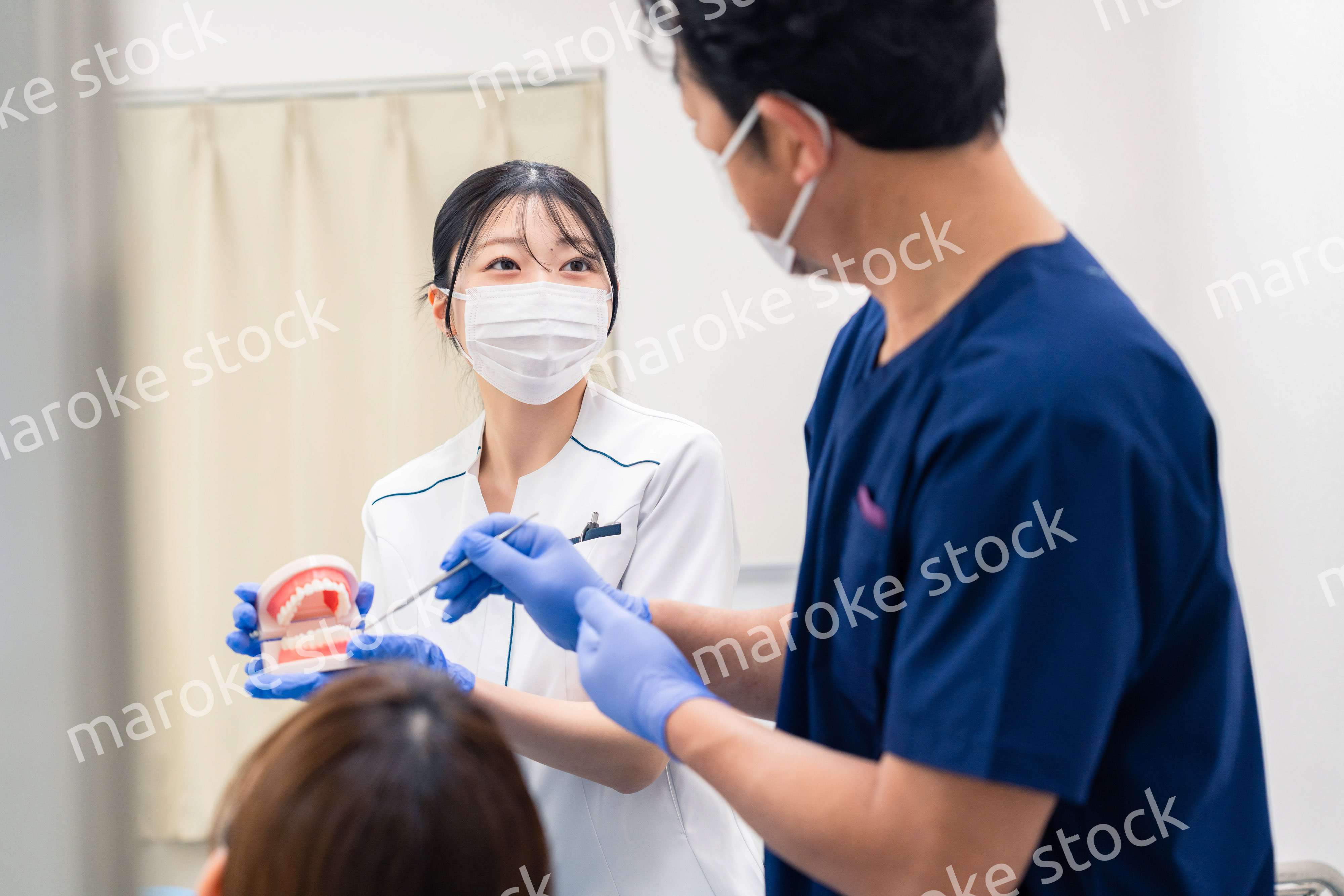 歯の模型を使って歯科治療の説明をする歯医者