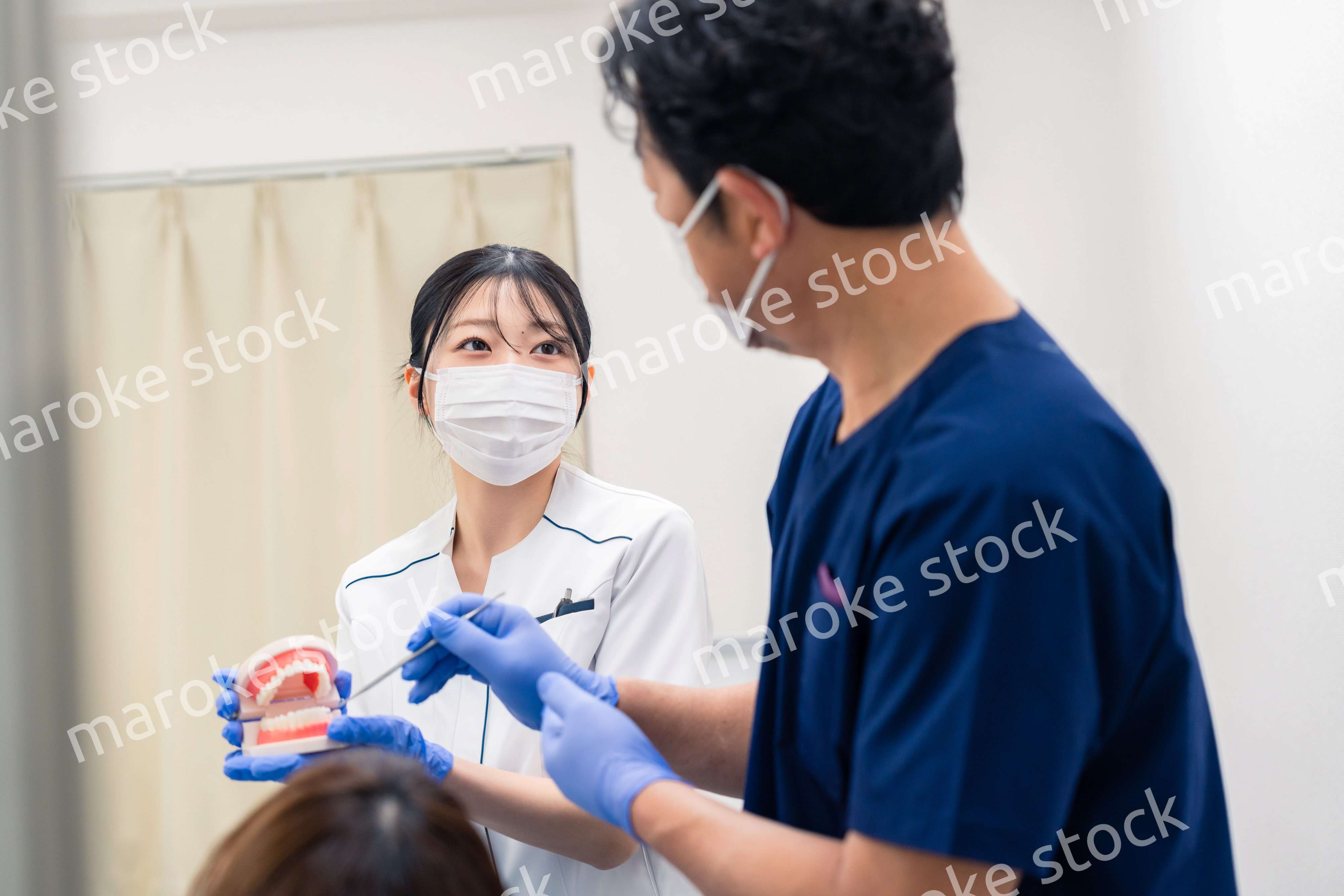 歯の模型を使って歯科治療の説明をする歯医者