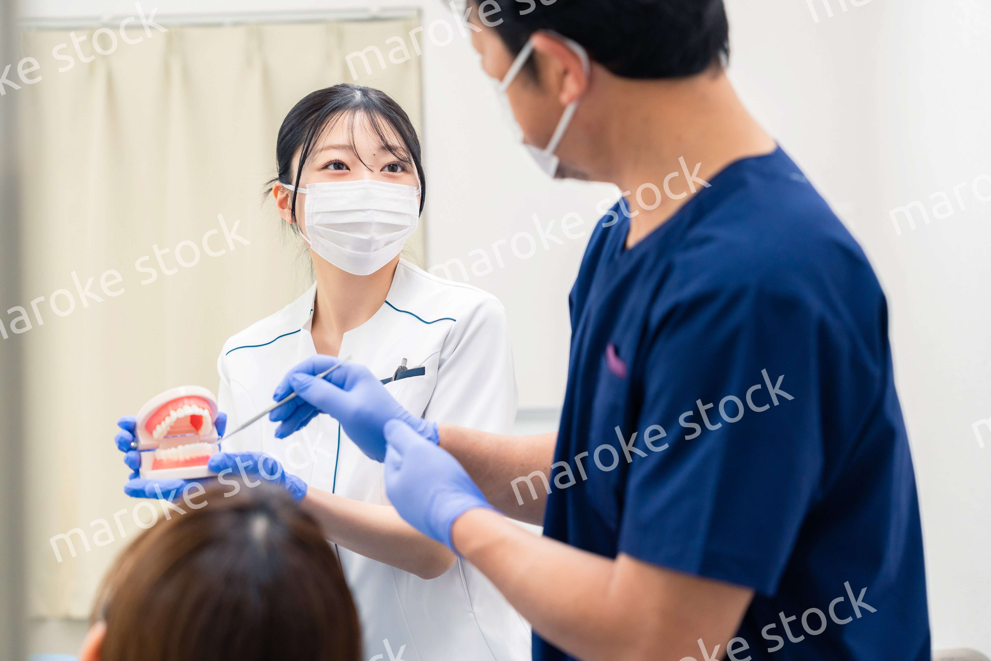 歯の模型を使って歯科治療の説明をする歯医者