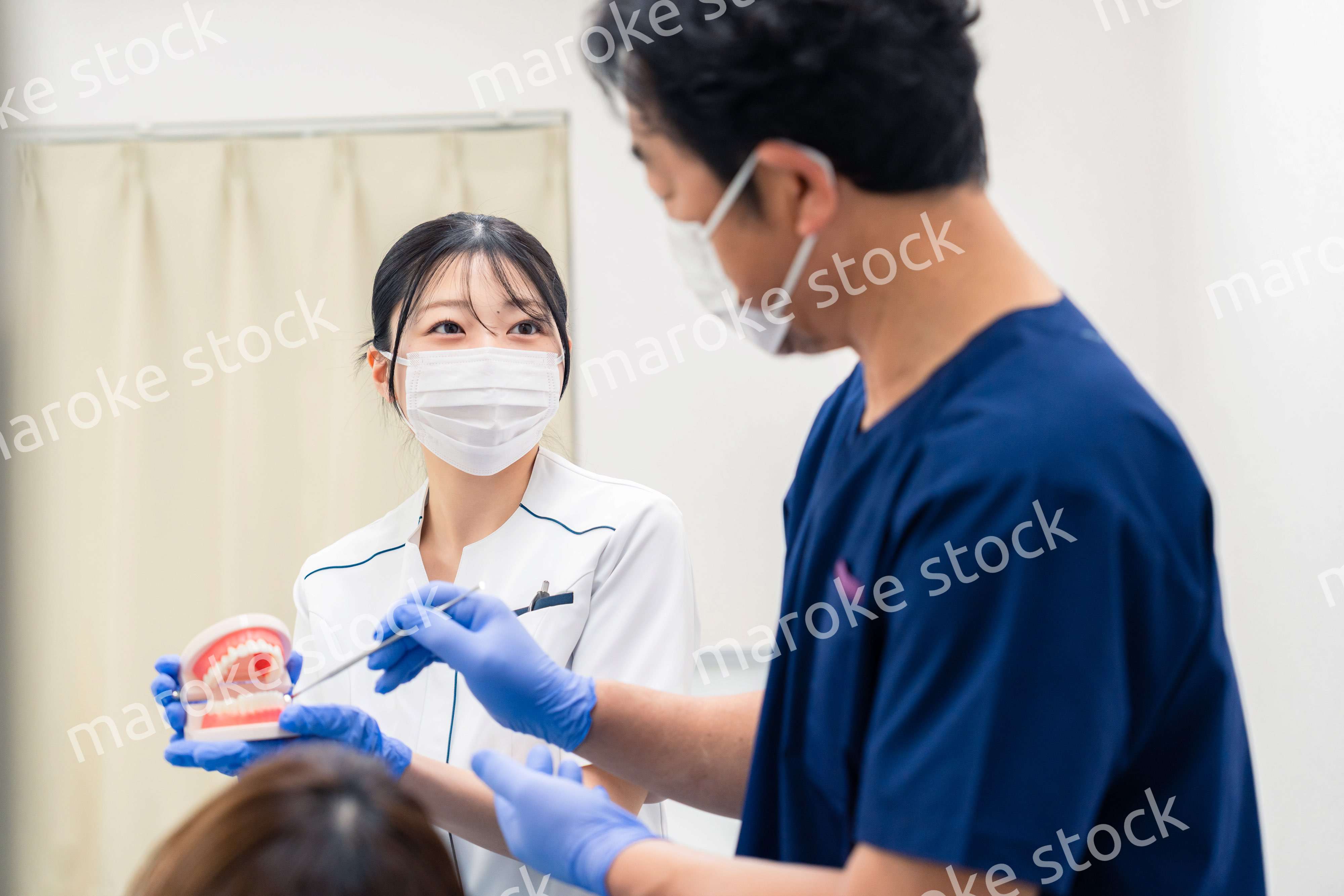 歯の模型を使って歯科治療の説明をする歯医者