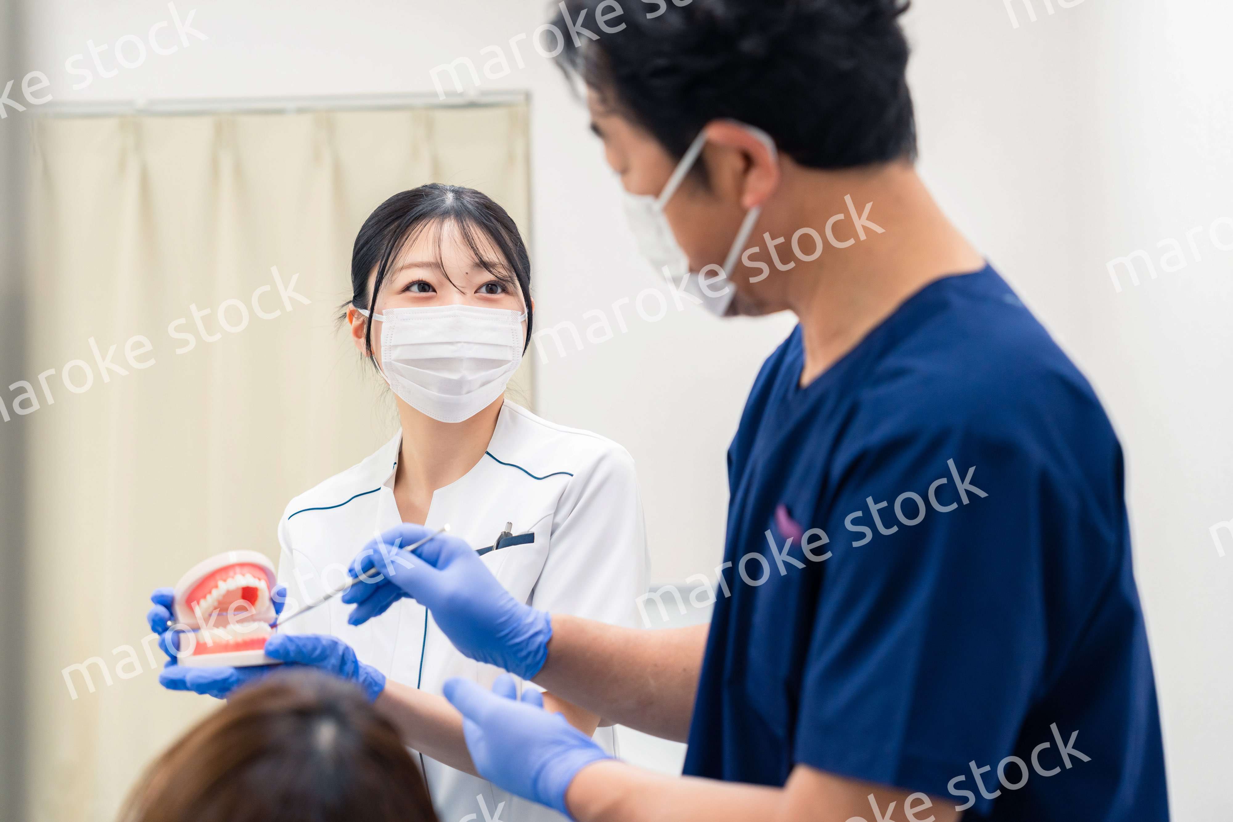 歯の模型を使って歯科治療の説明をする歯医者