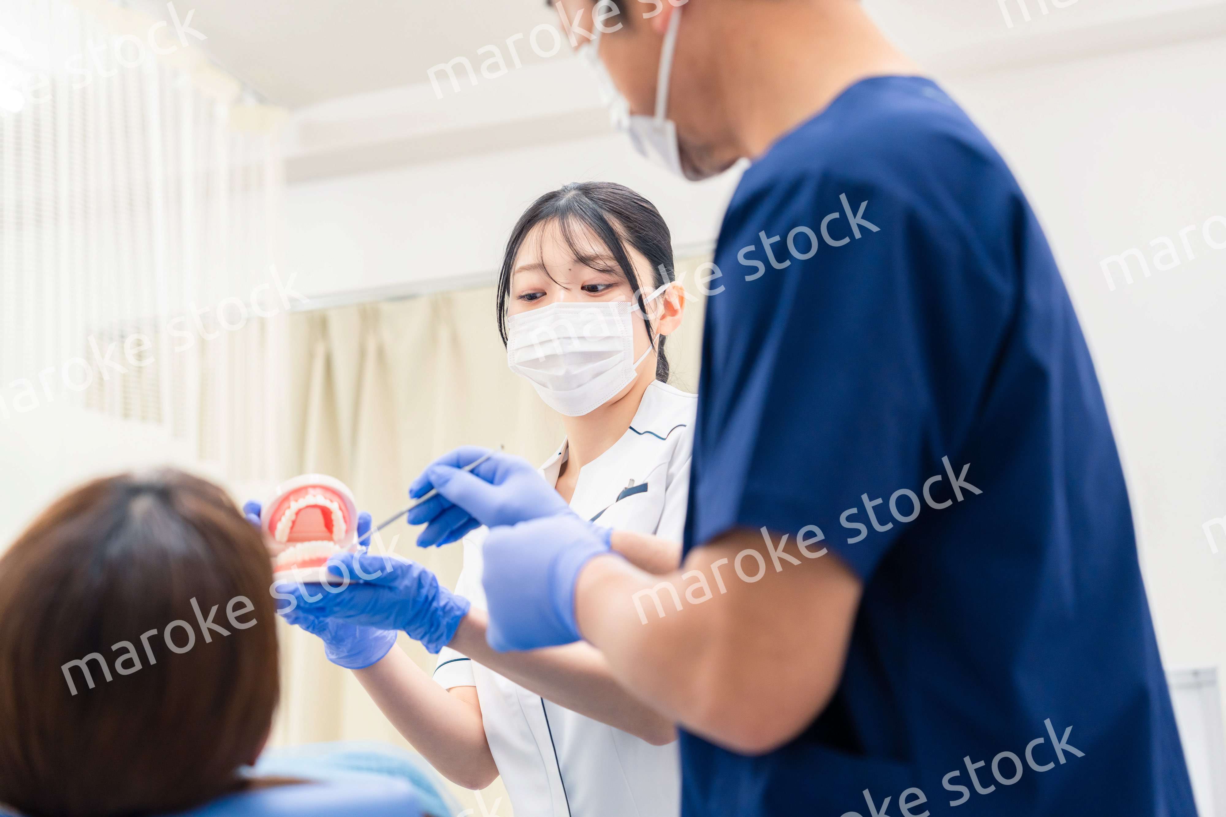 歯の模型を使って歯科治療の説明をする歯医者