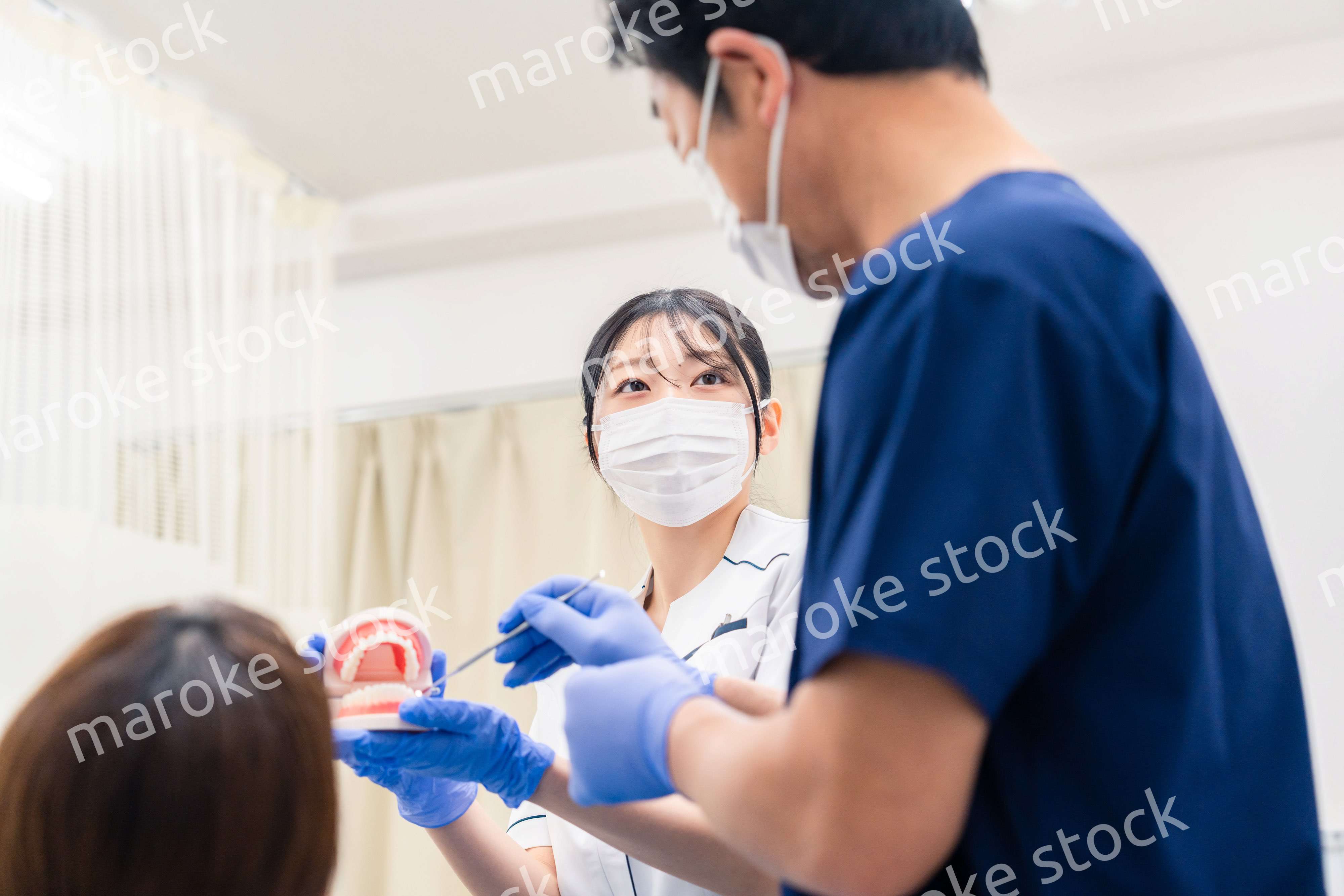 歯の模型を使って歯科治療の説明をする歯医者